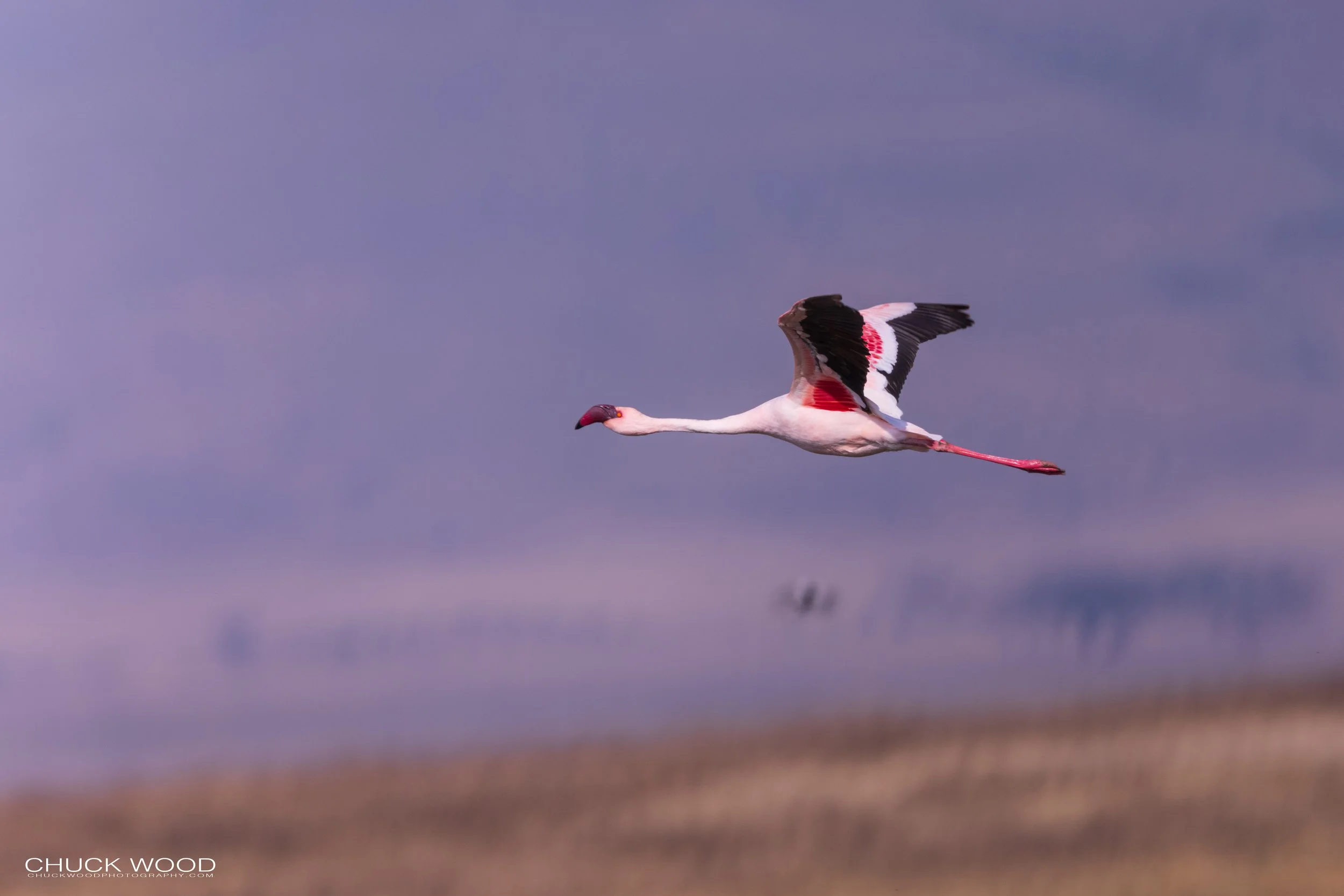  Ngorongoro Crater, Tanzania 2021 