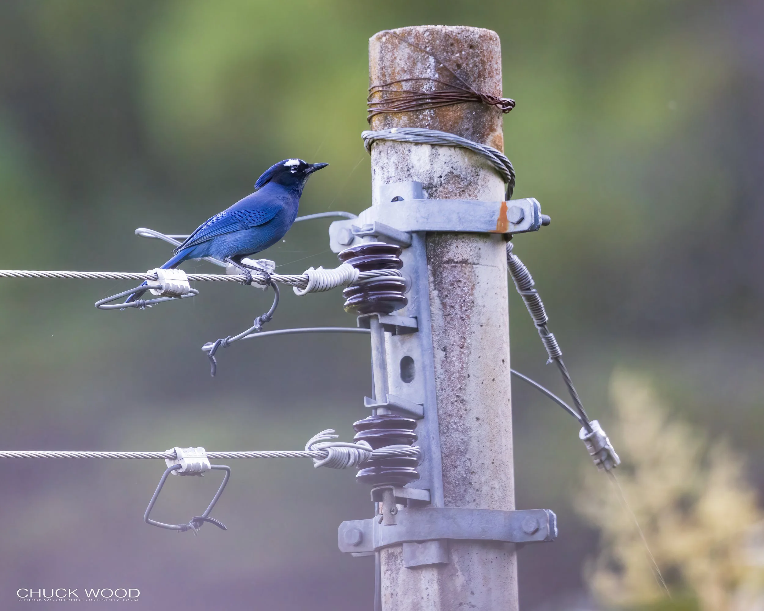  Arroyo Guacamaya, MX 2022 