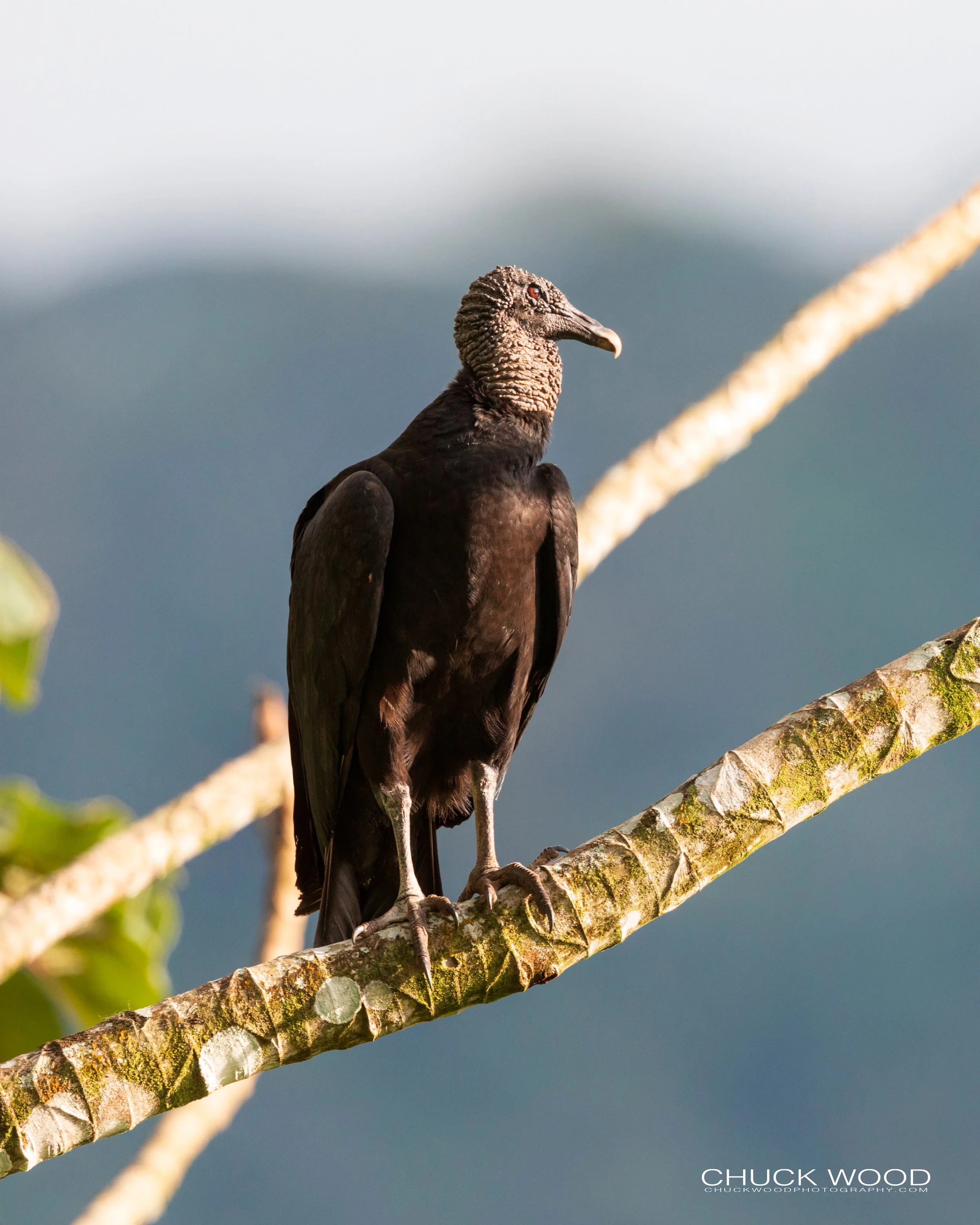  Embalse Angostura, Costa Rica 2020 