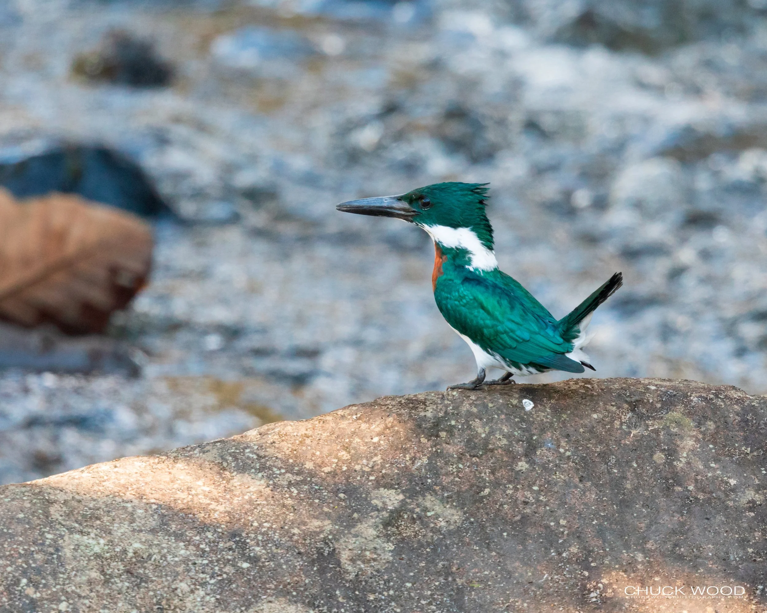  Tuis River Valley, Costa Rica 2020 