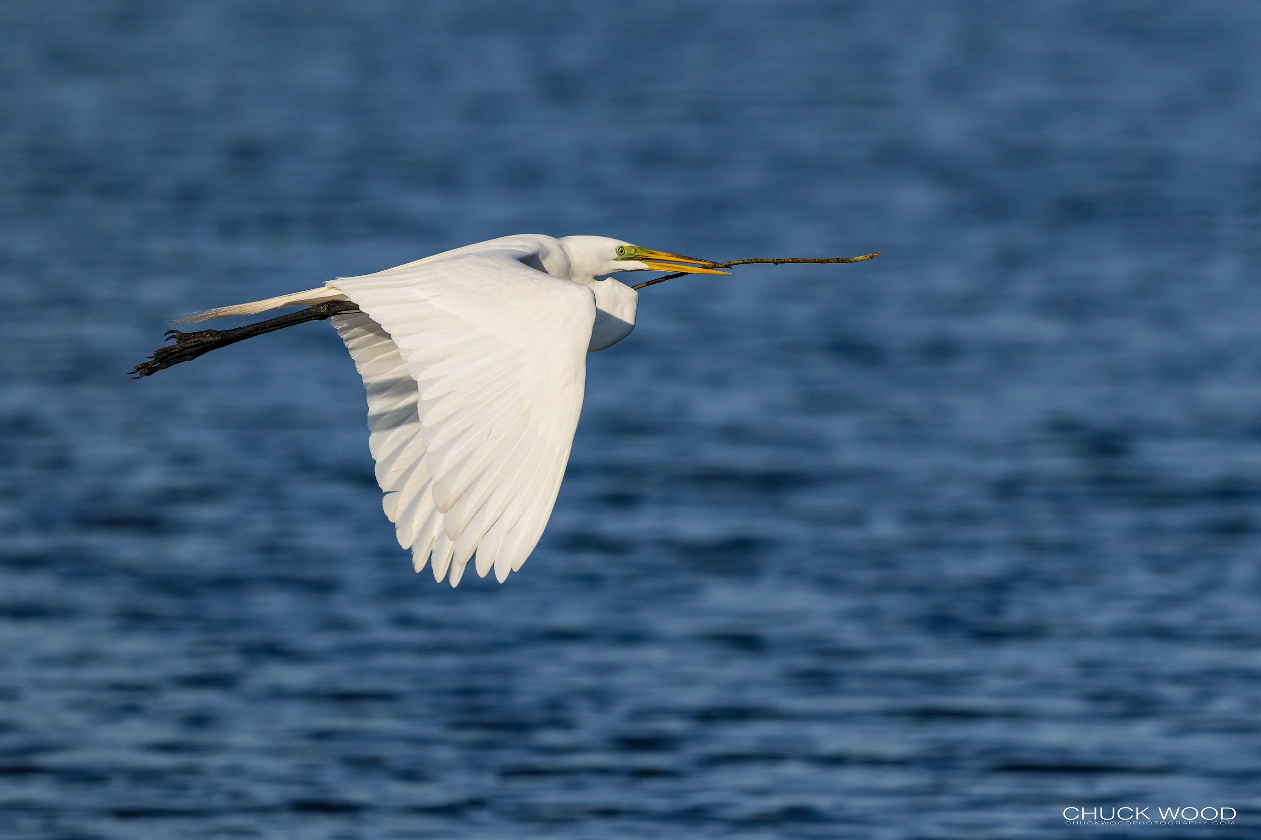  Stick Marsh, FL 2022 