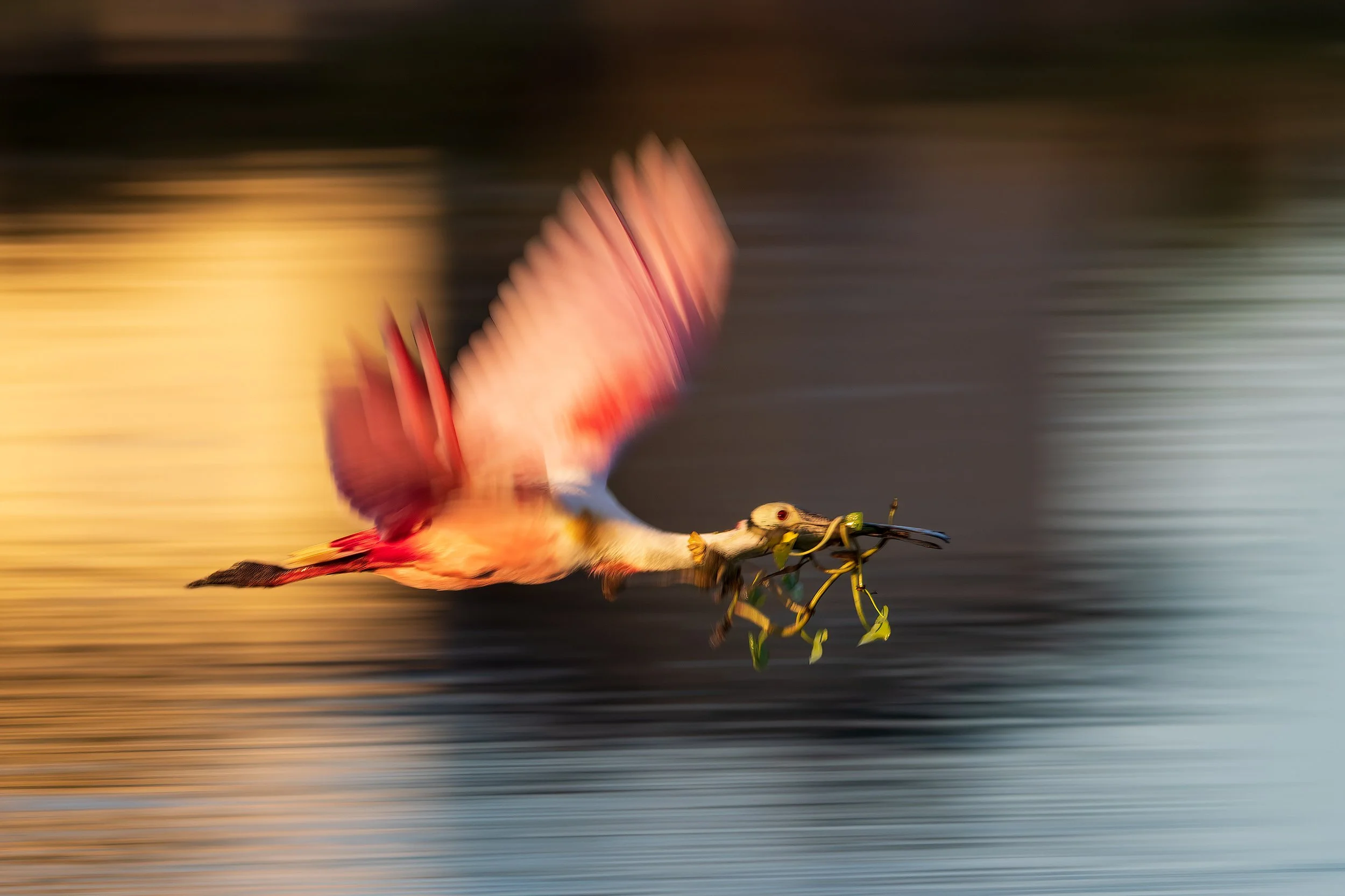  Stick Marsh, FL 2023 