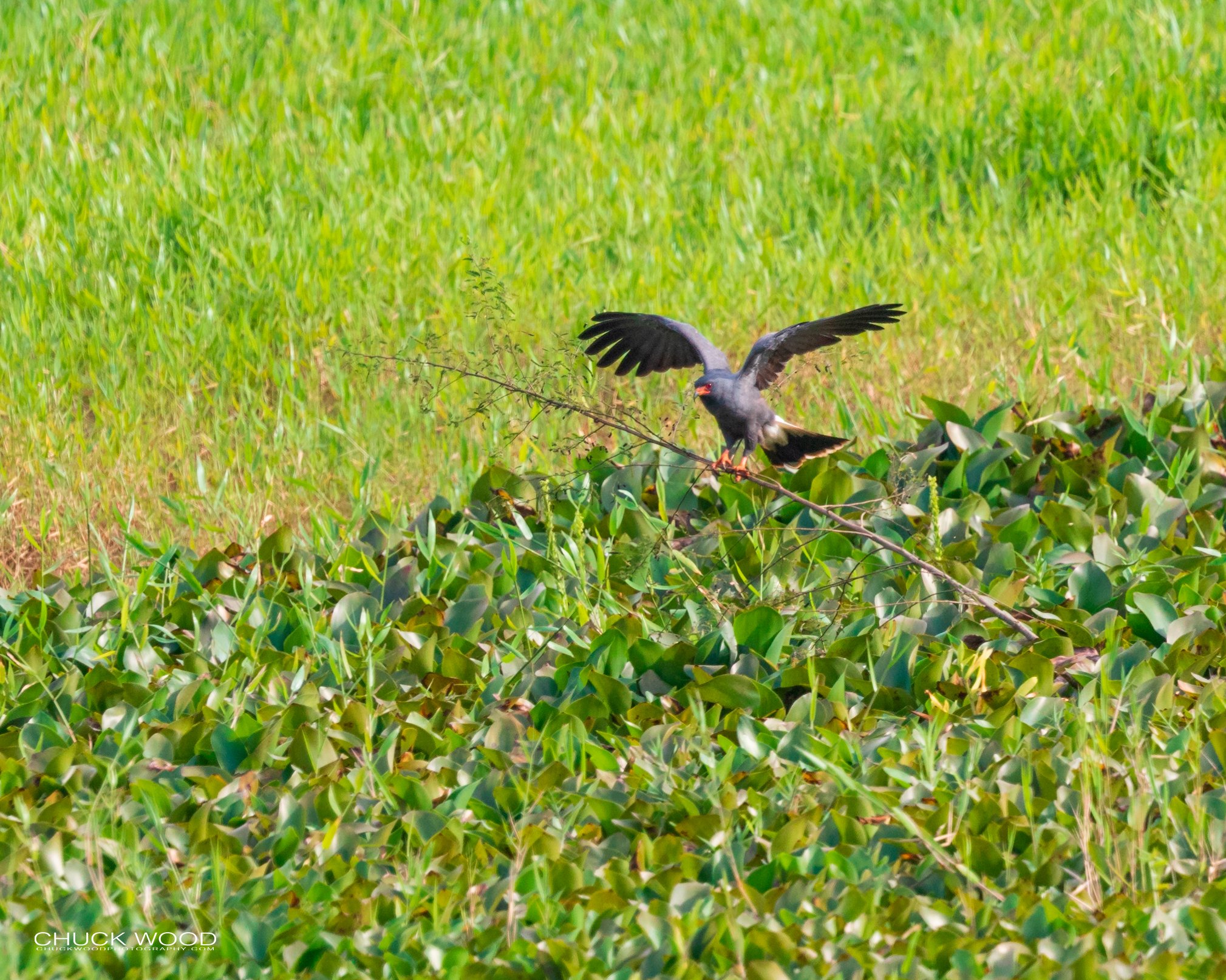  Embalse Angostura, Costa Rice 2020 