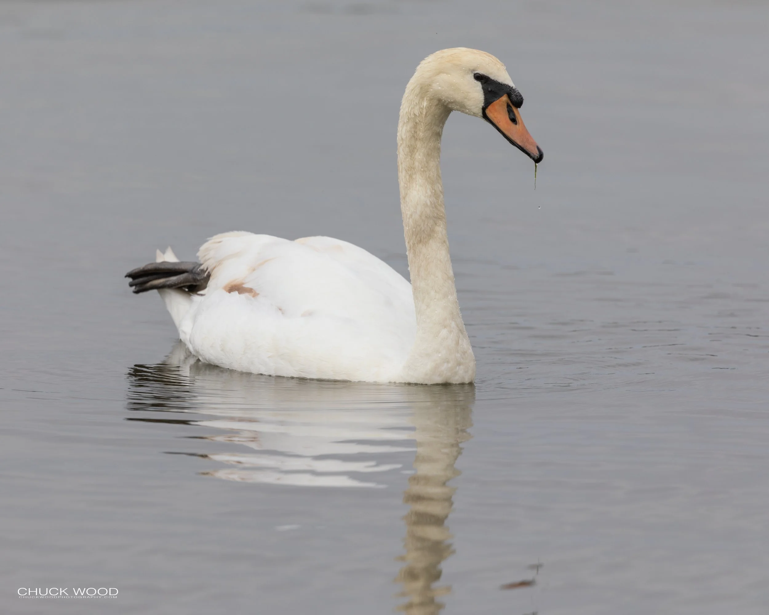  Dekorte Park, NJ 2020 