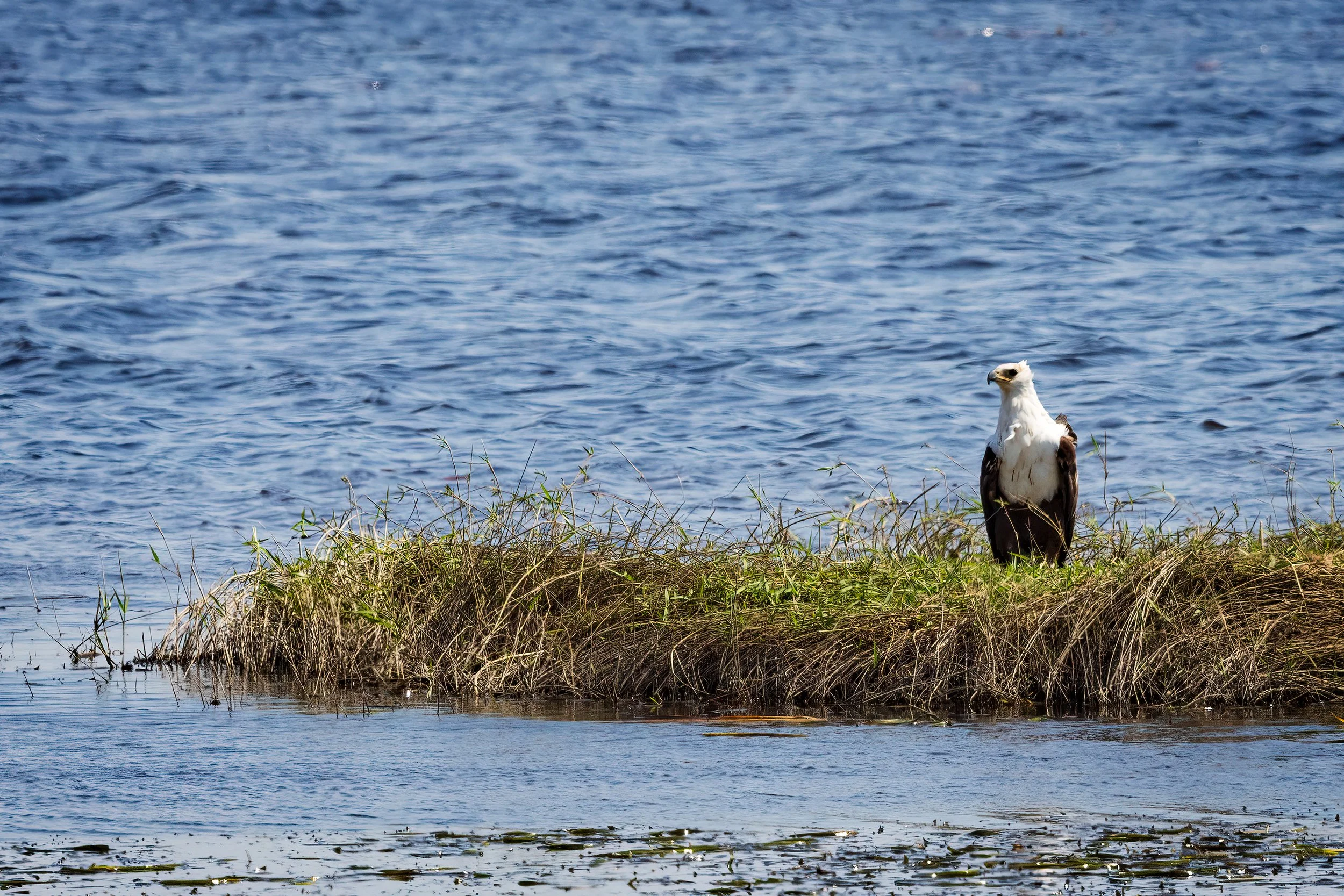  Chobe Riverfront, Botswana 2023 