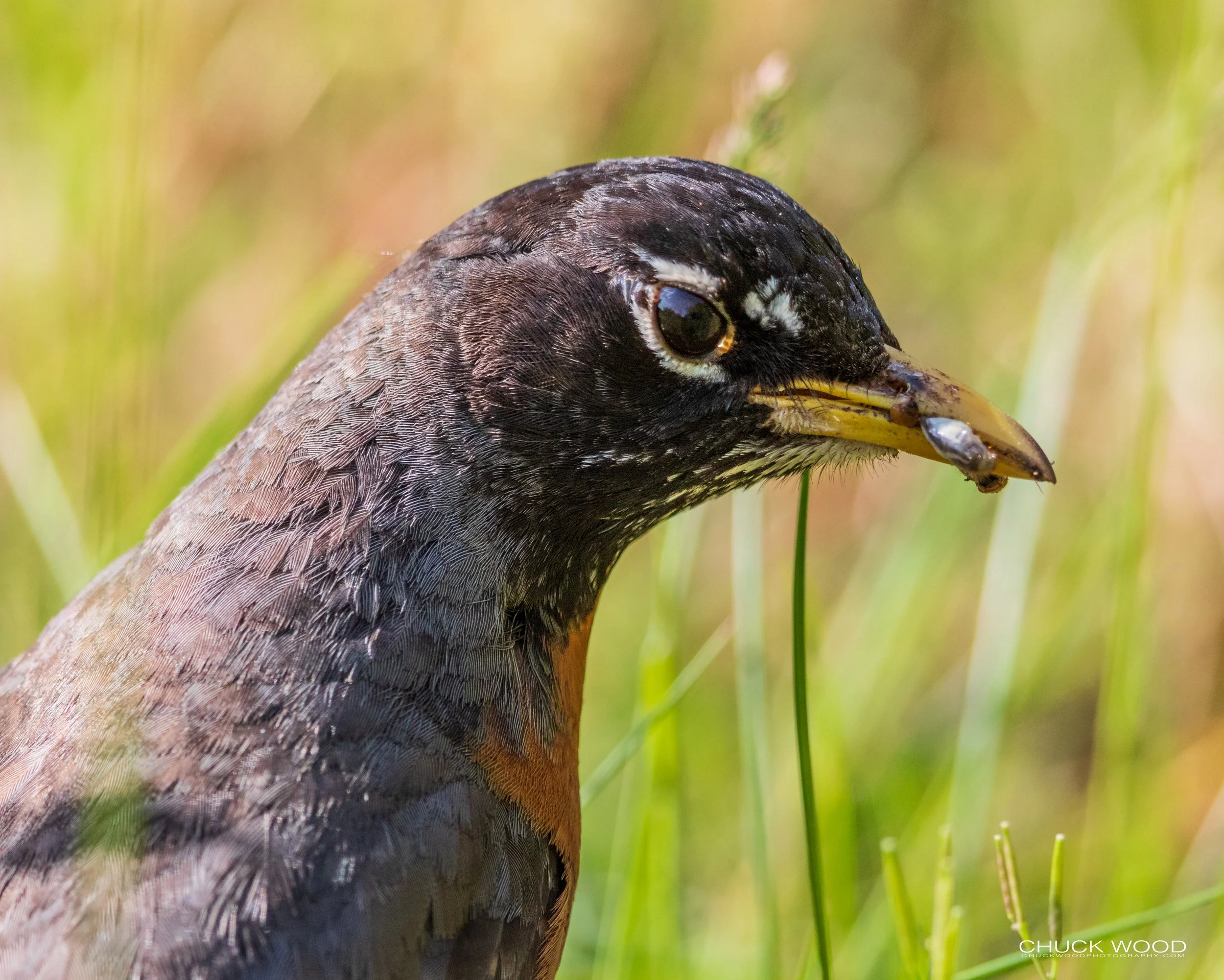  Dekorte Park, NJ 2020 