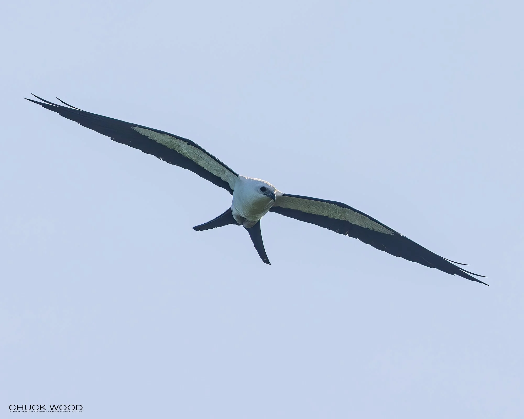  Embalse Angostura, Costa Rice 2022 