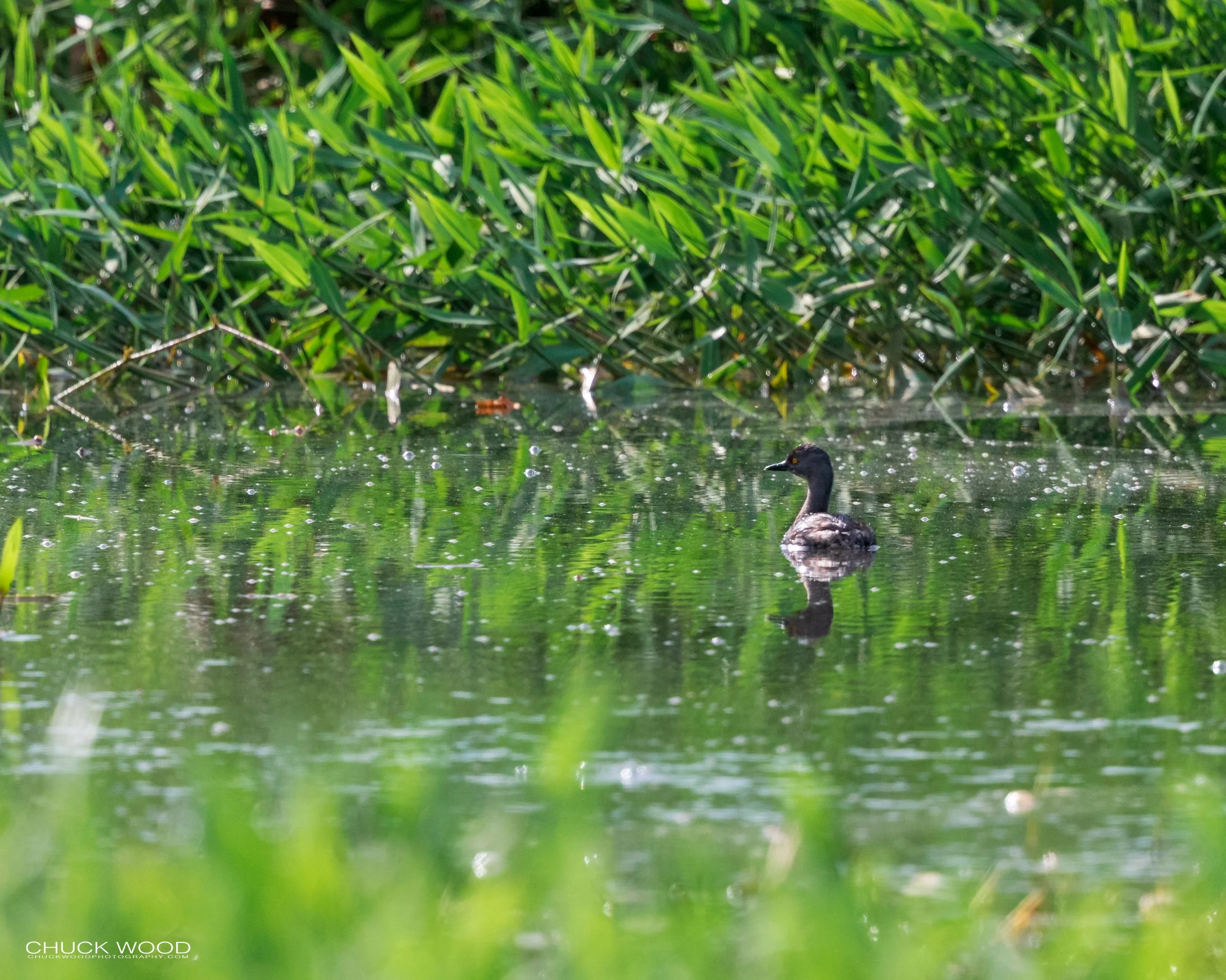  Embalse Angostura, Costa Rica 2020 