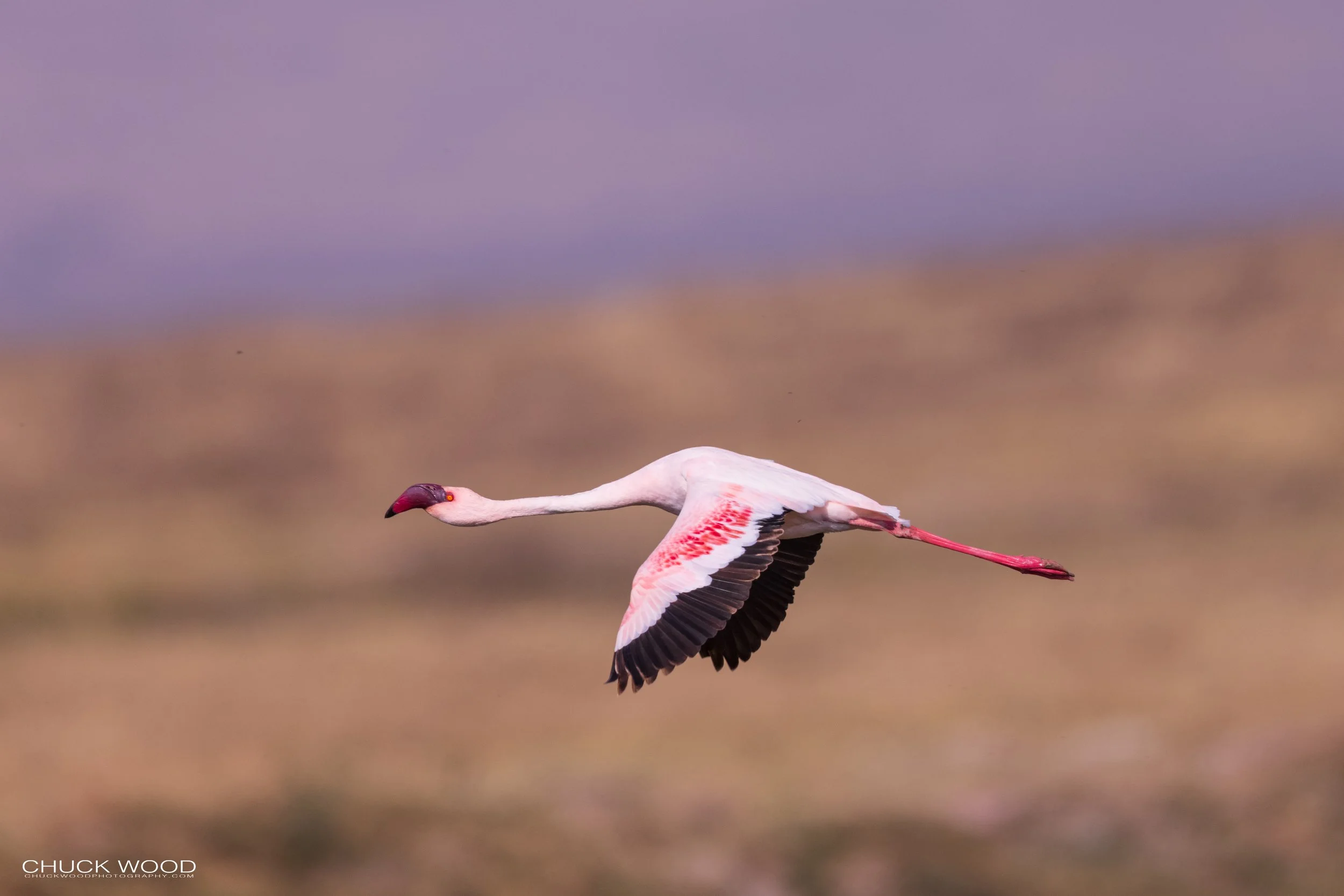  Ngorongoro Crater, Tanzania 2021 