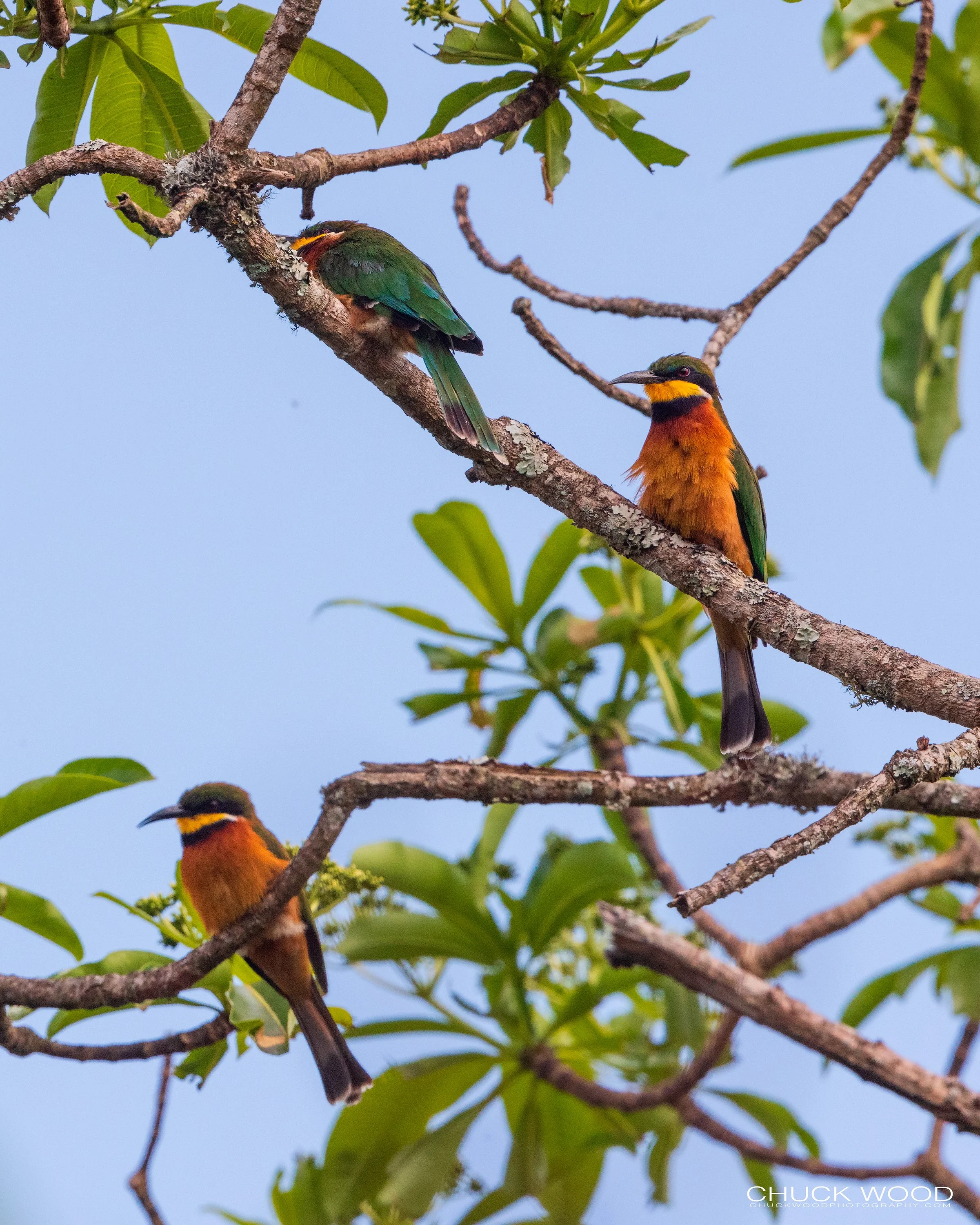   Arusha, Tanzania 2021 