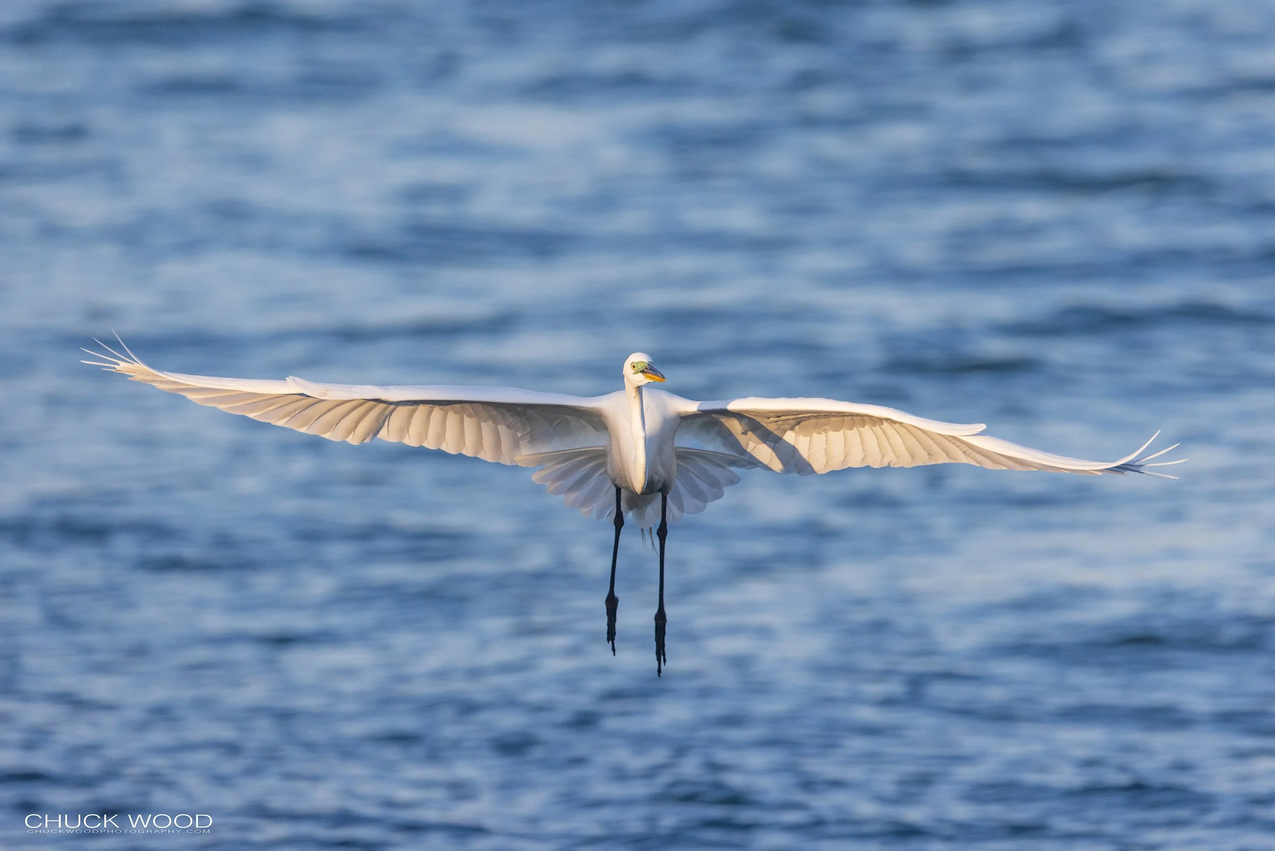  Sebastian Inlet, FL 2022 