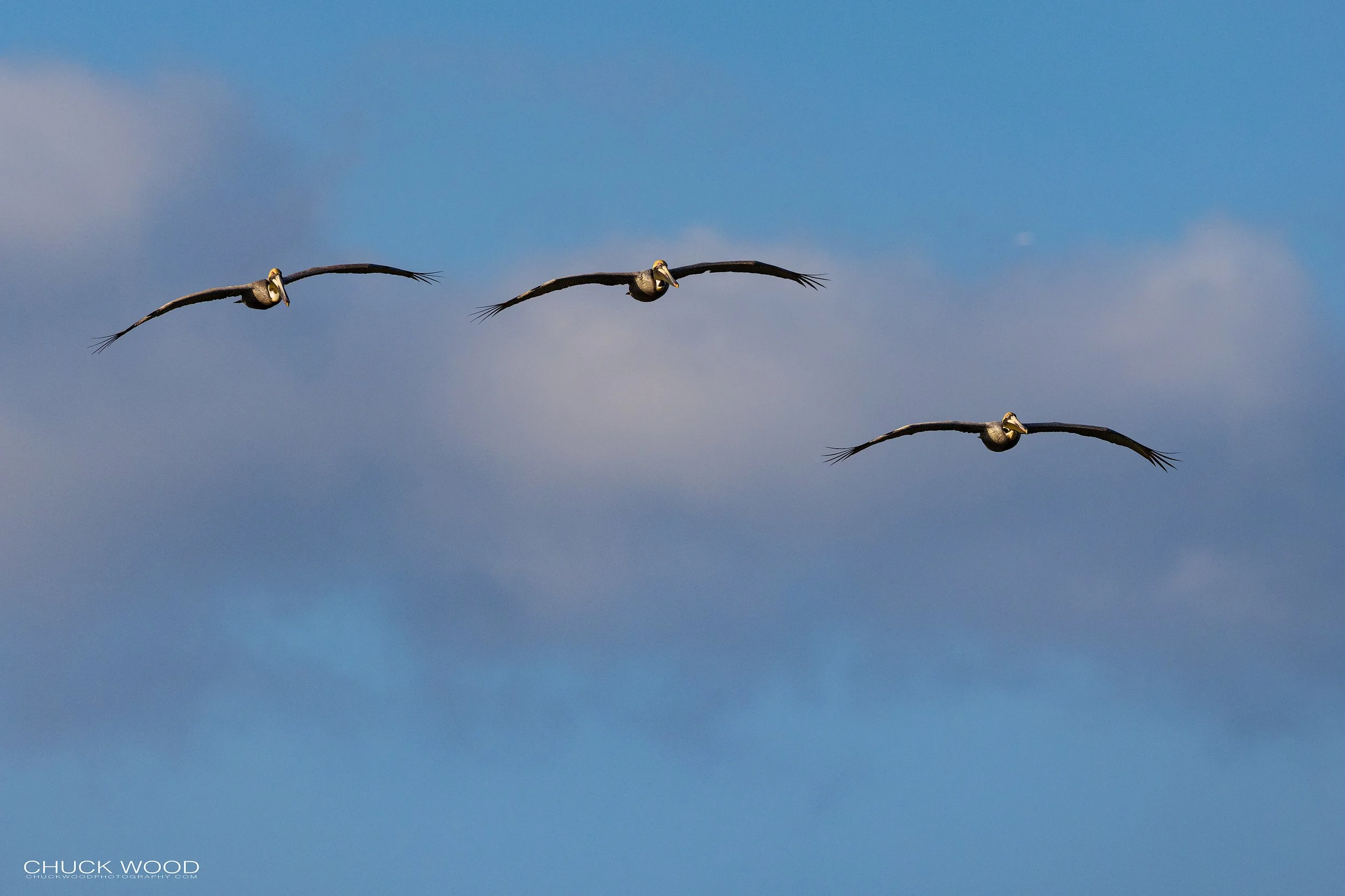  Sebastian Inlet, FL 2022 