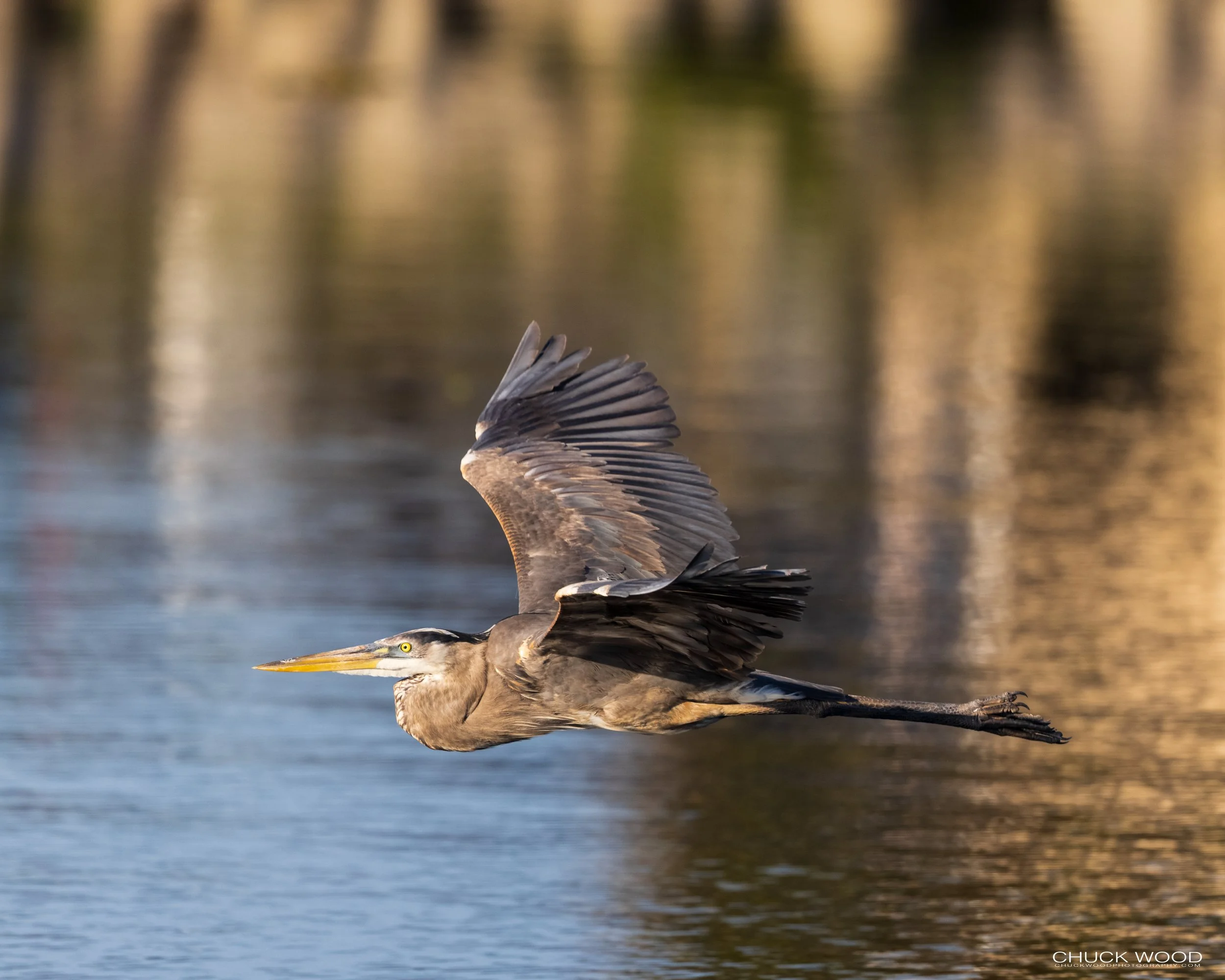  Stick Marsh, FL 2021 