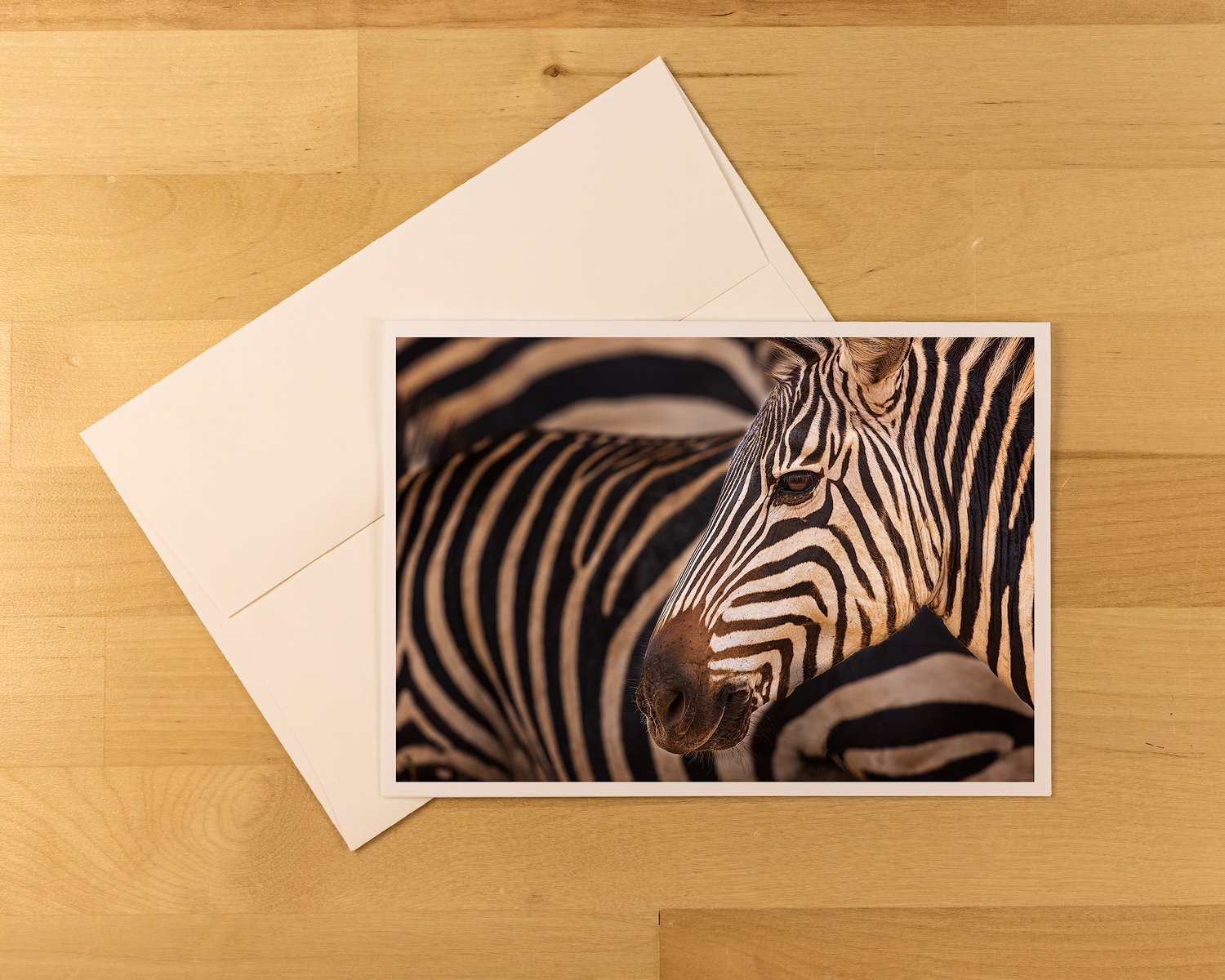 Zebra-Tarangire-2021-Product-Shot-1500.jpg