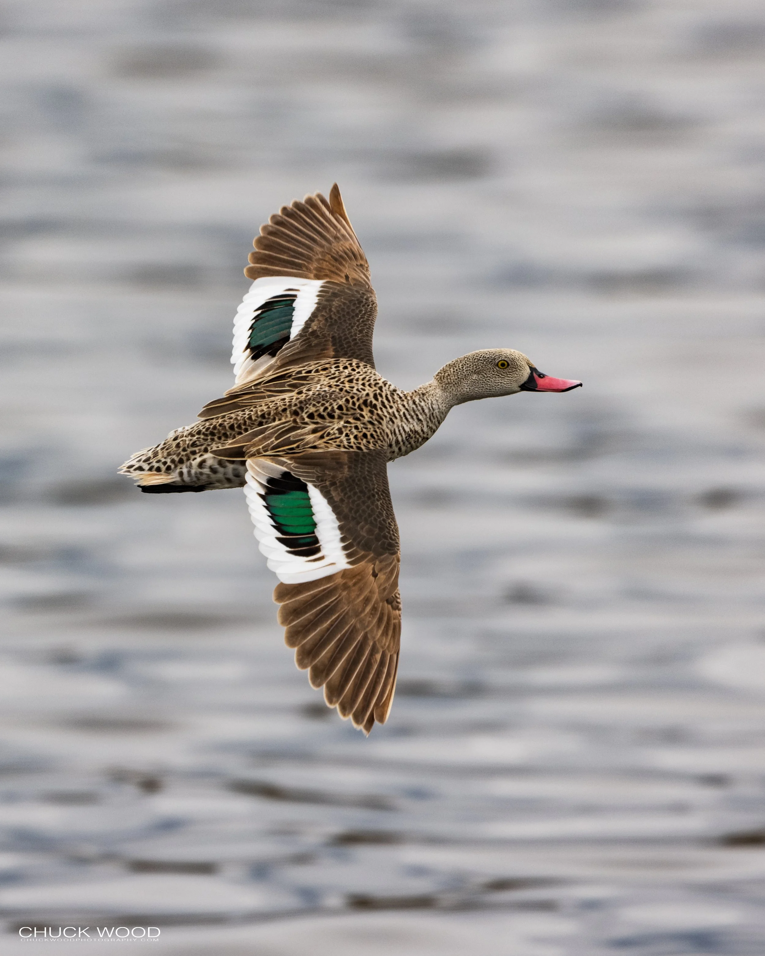  Arusha, Tanzania 2021 