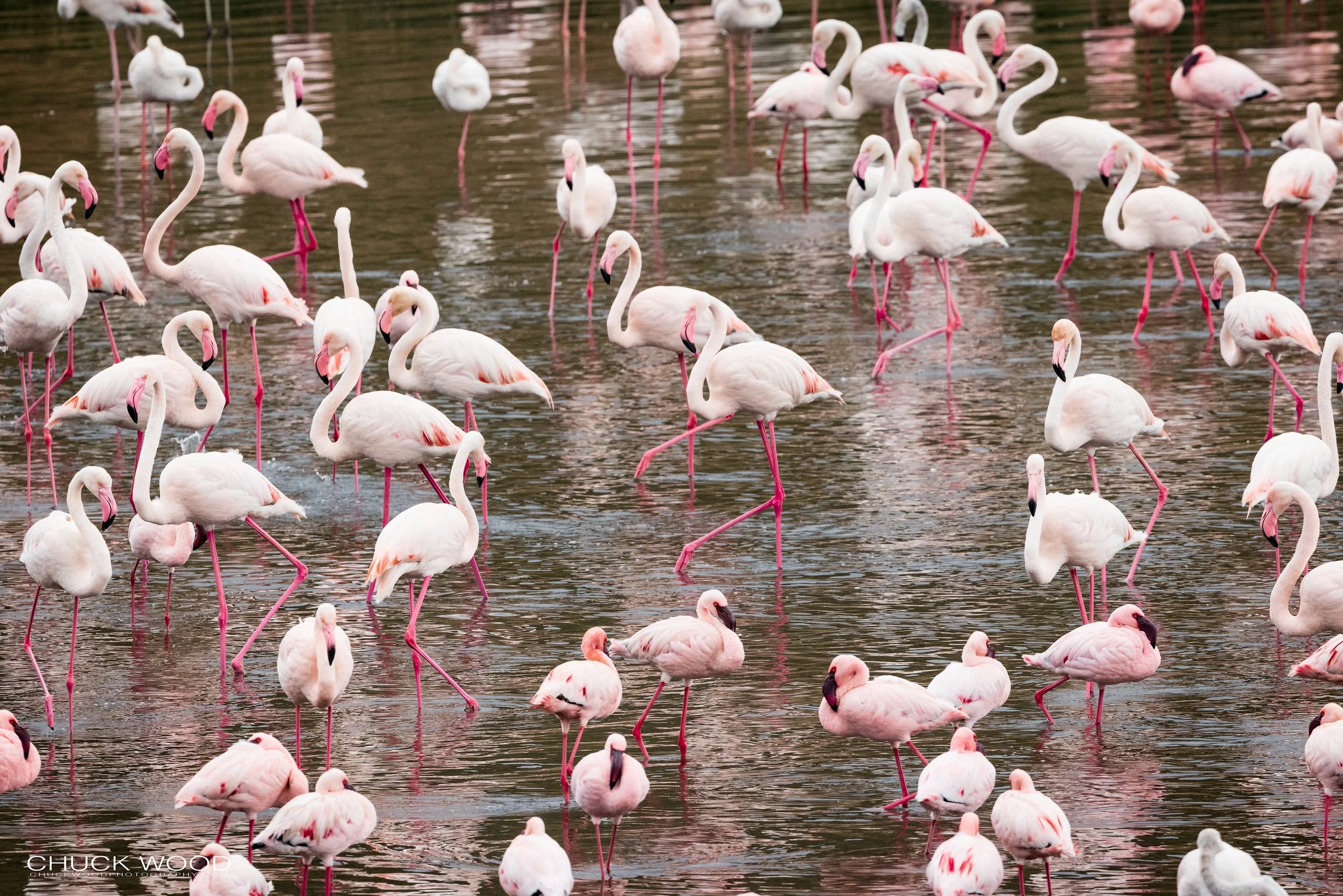  Arusha, Tanzania 2021 