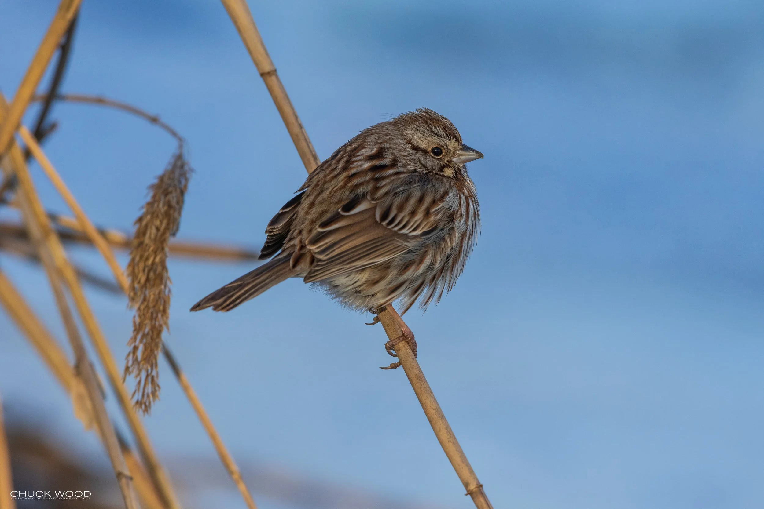 Hackensack River, NJ 2021