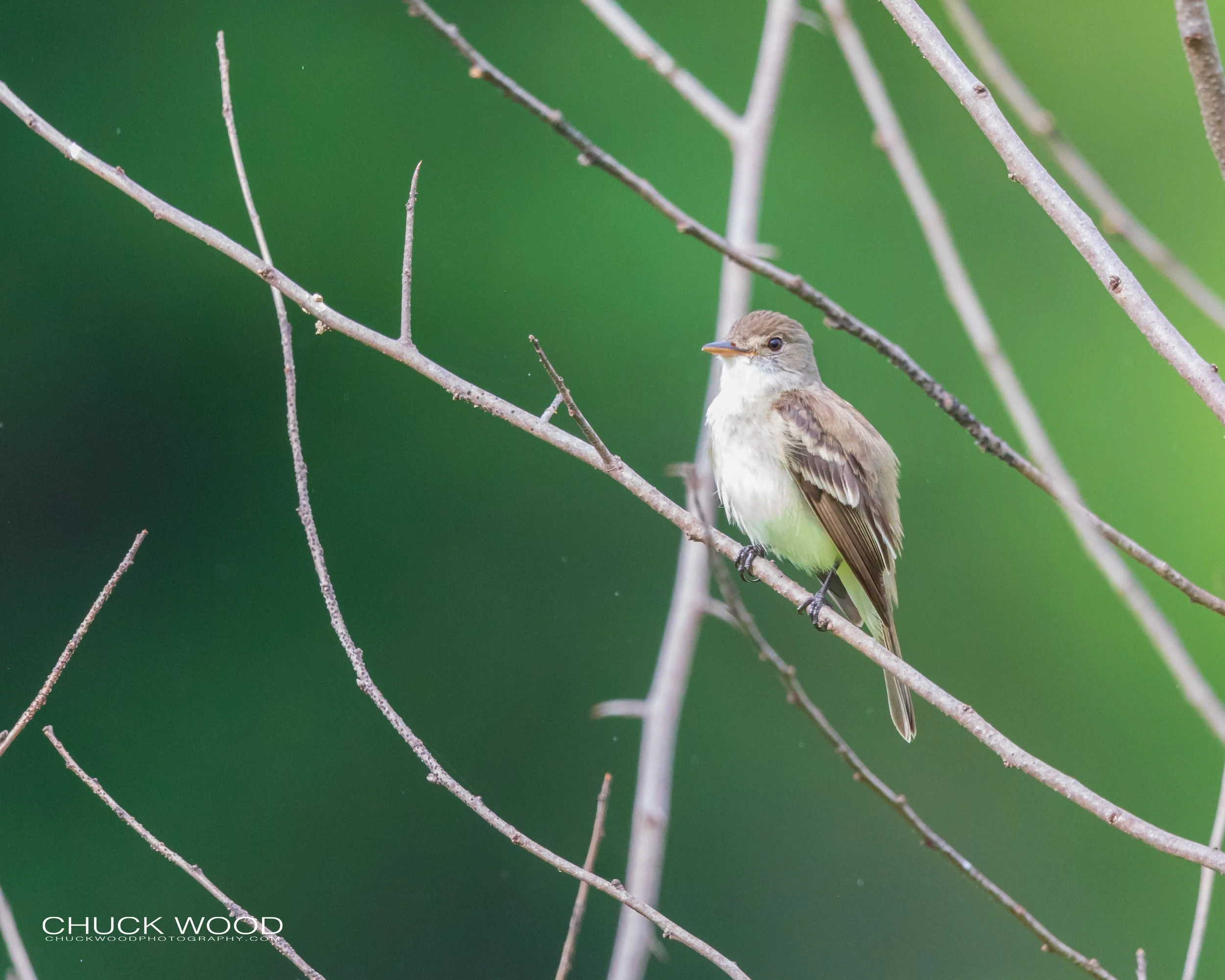  Pole Farm, NJ 2020 I/ 