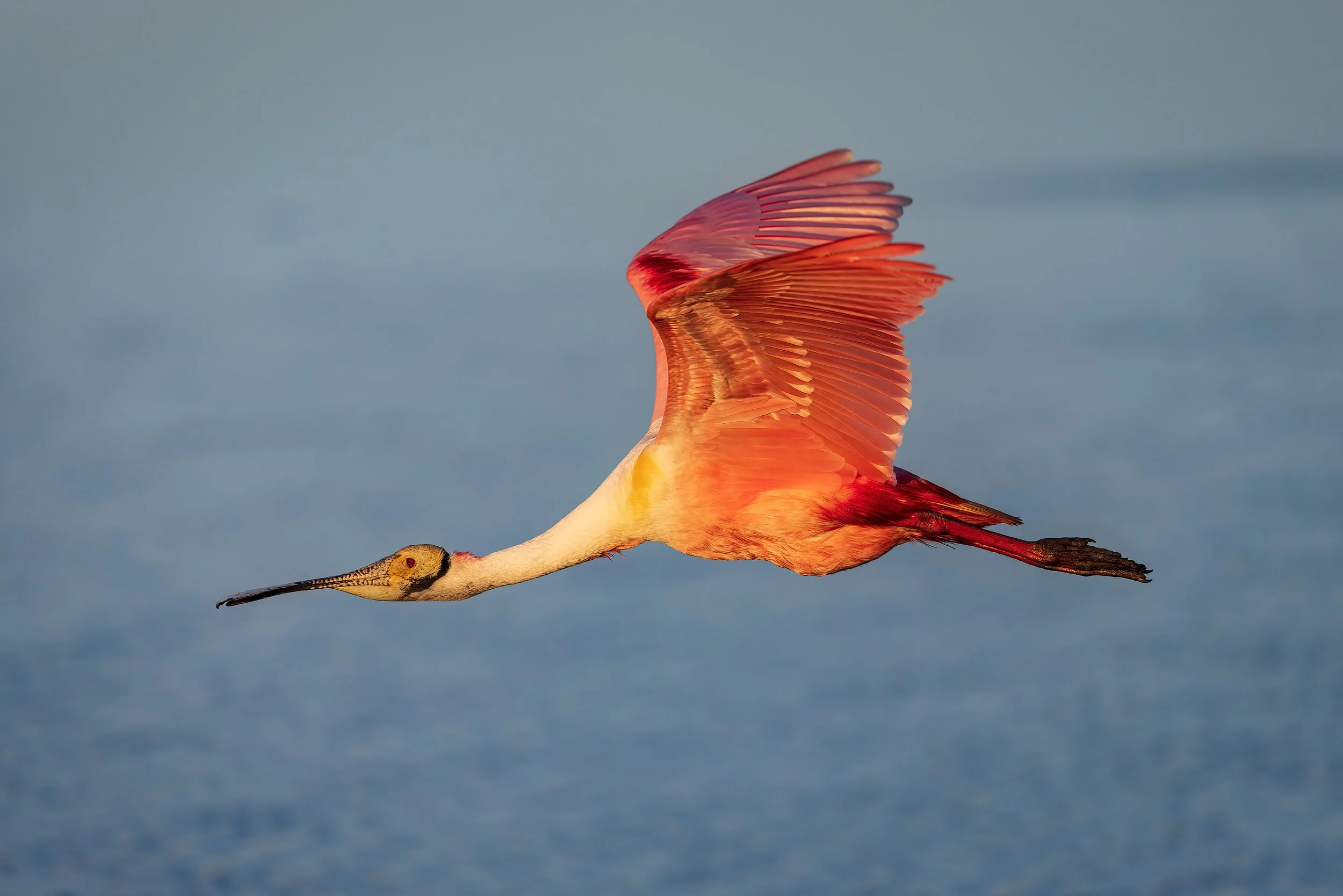  Stick Marsh, FL 2023 