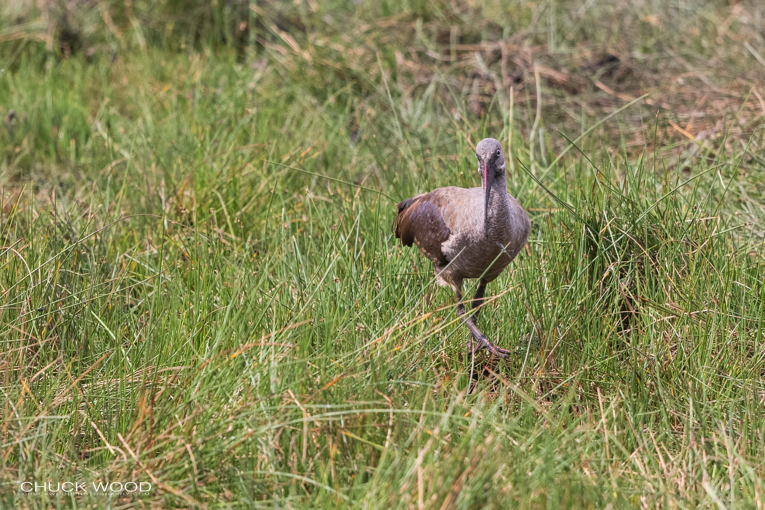  Arusha, Tanzania 2021 