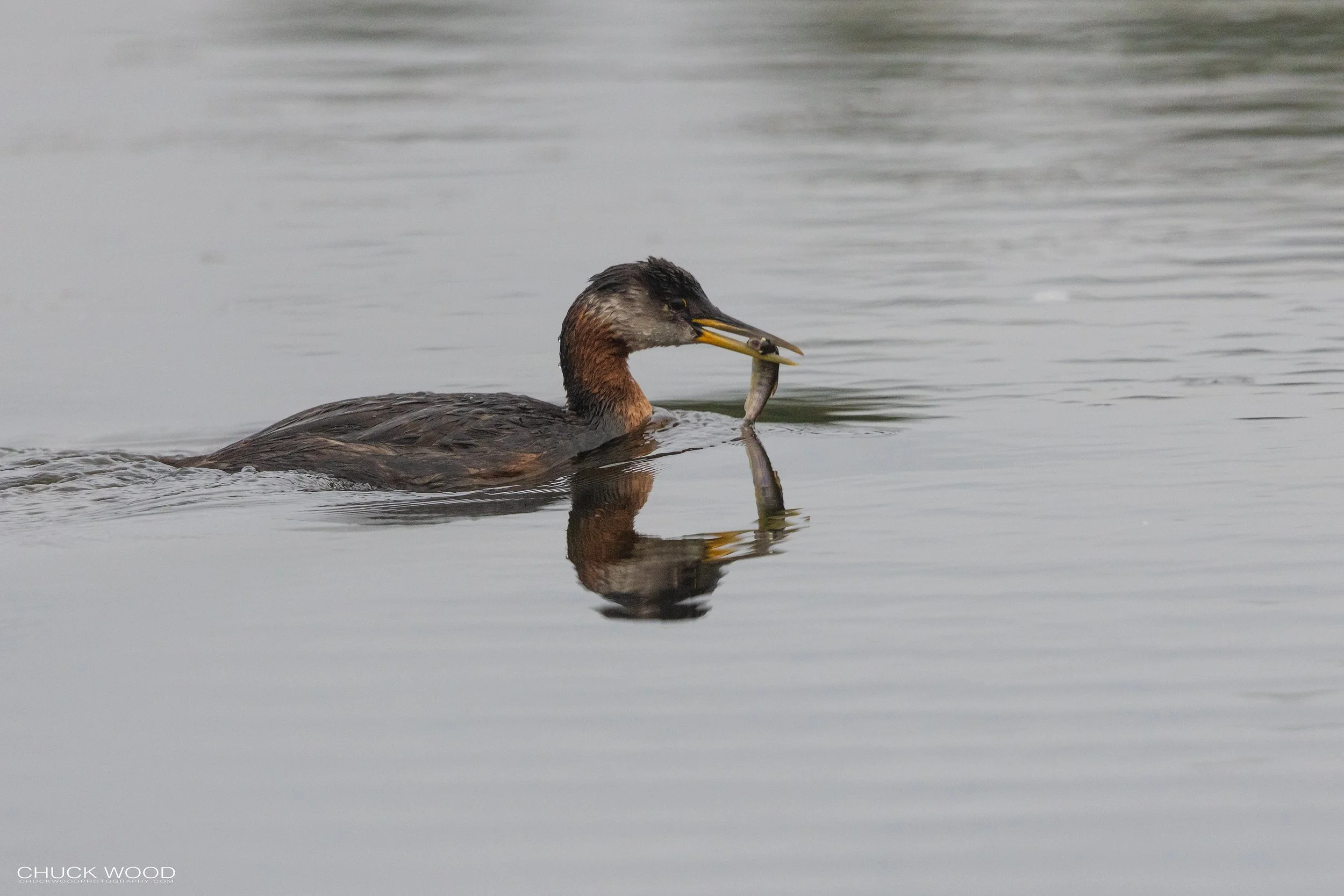 Westchester Lagoon Anchorage, AK 2022 