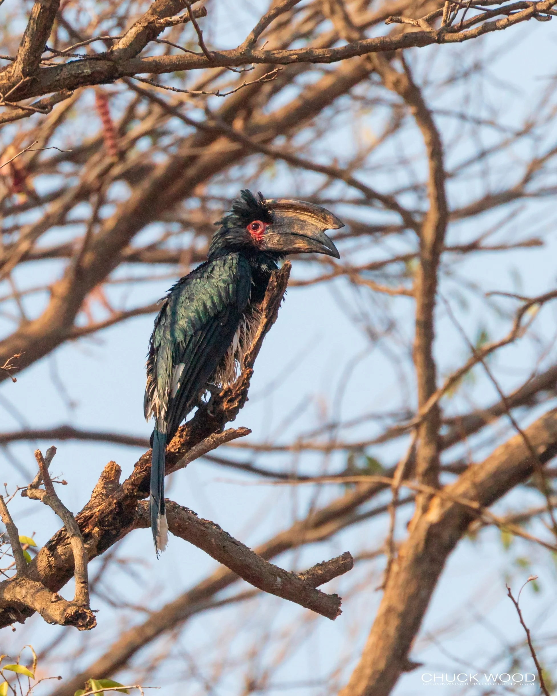  Victoria Falls, Zimbabwe 2019 