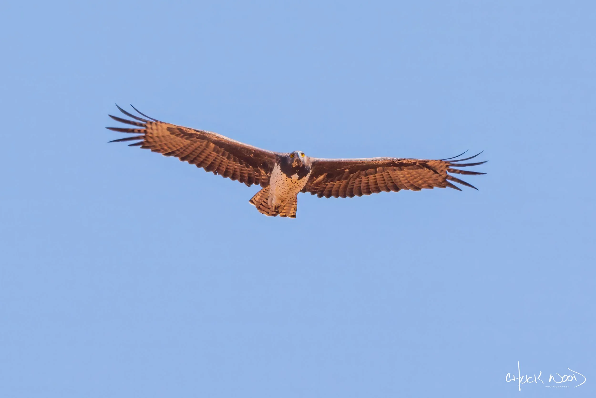  Lake Kariba, Zimbabwe 2019 