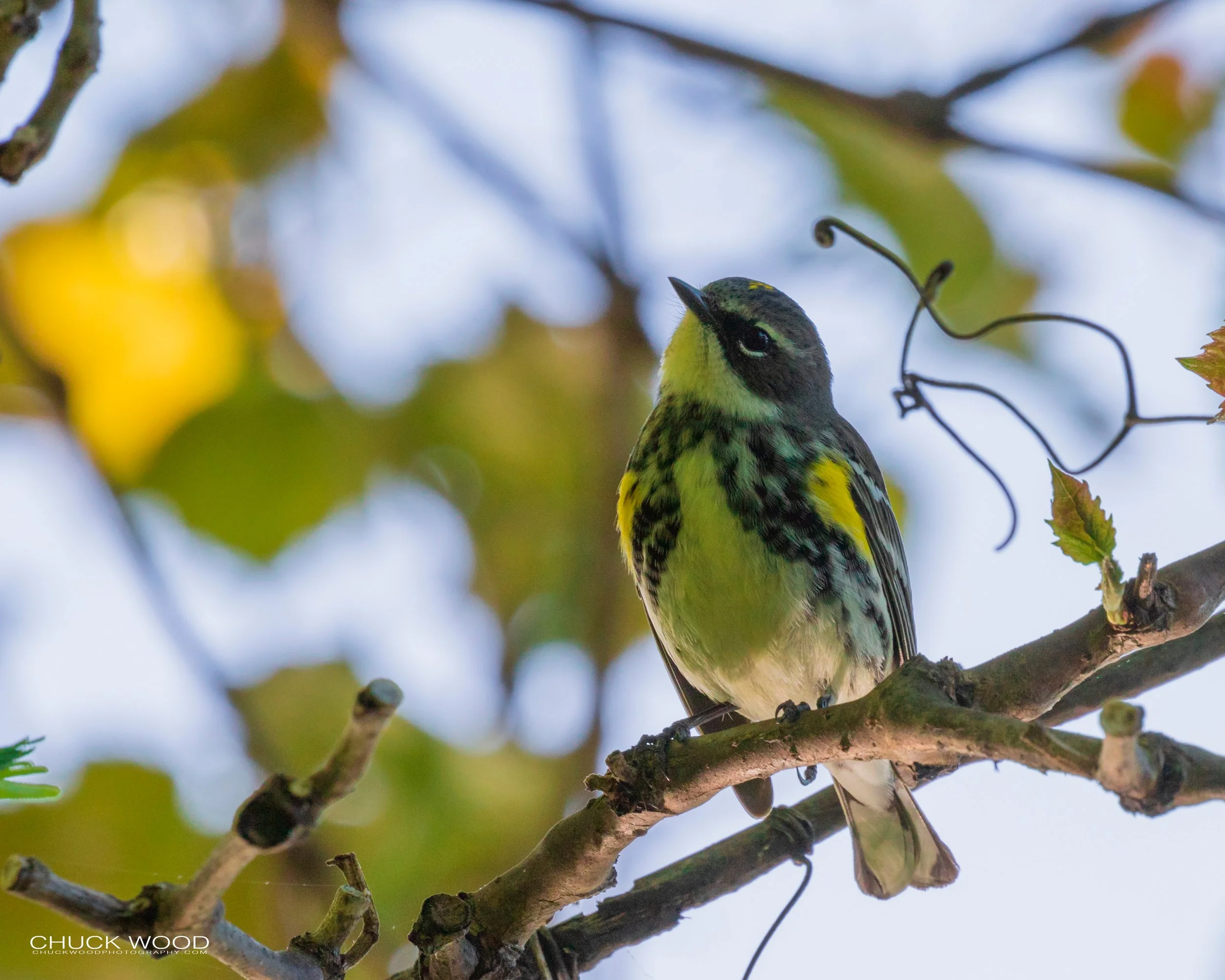  Overpeck Park, NJ 2019 