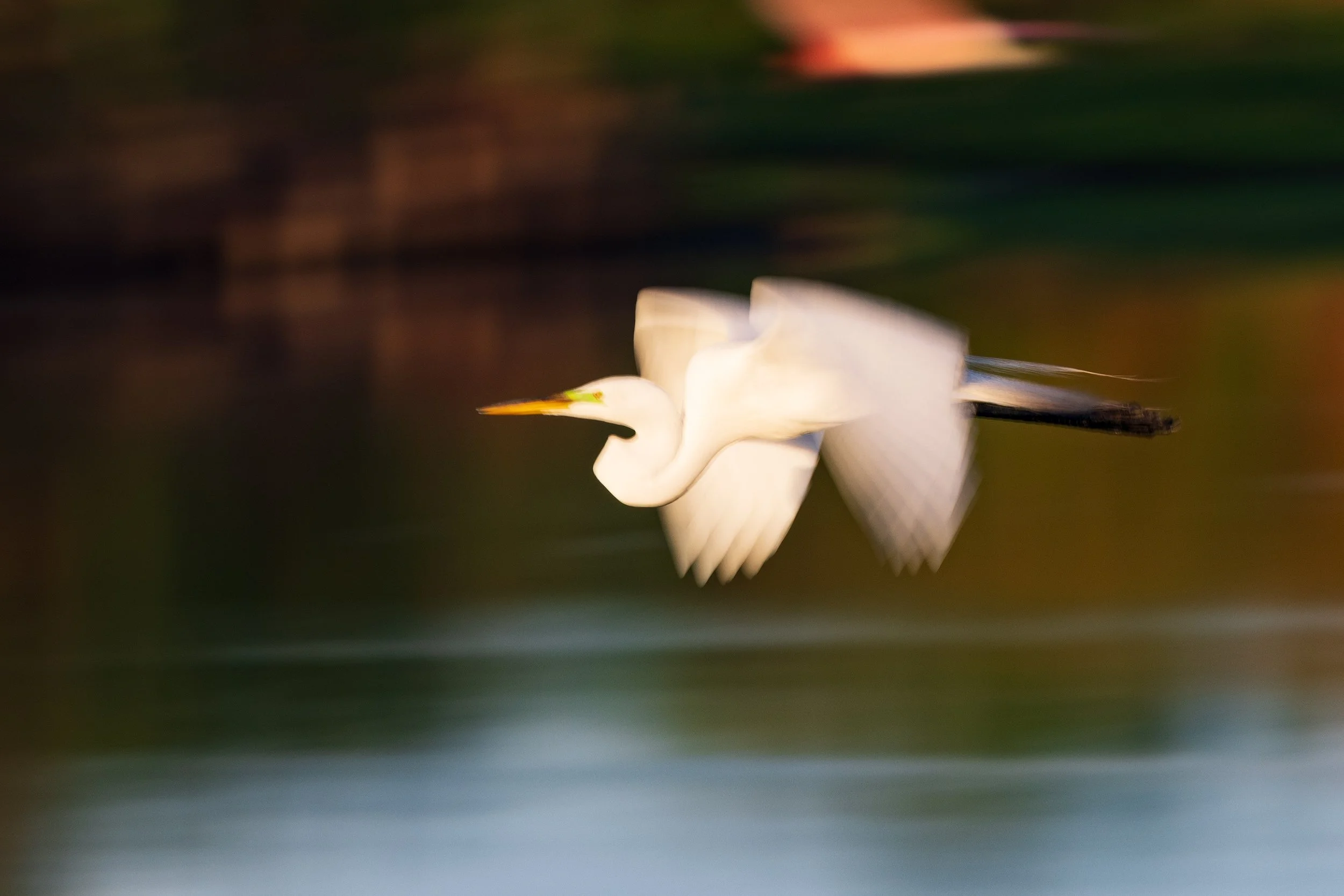  Stick Marsh, NJ 2023 