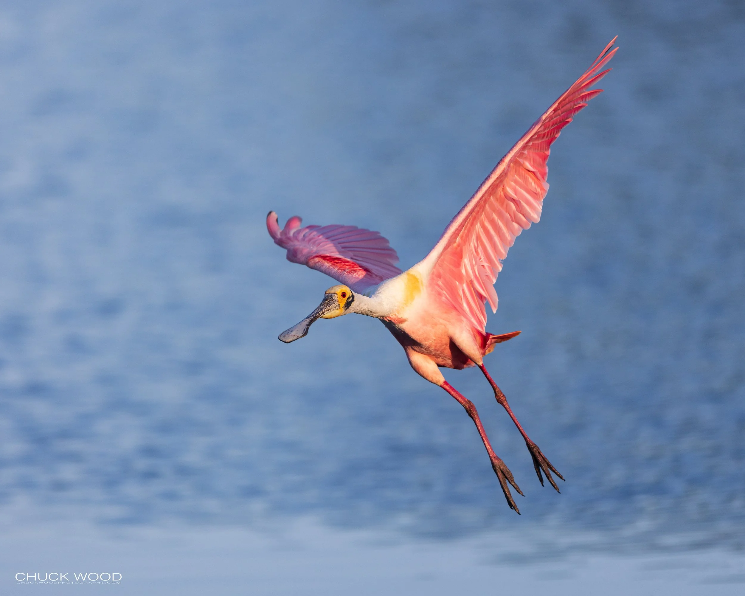  Stick Marsh, FL 2022 
