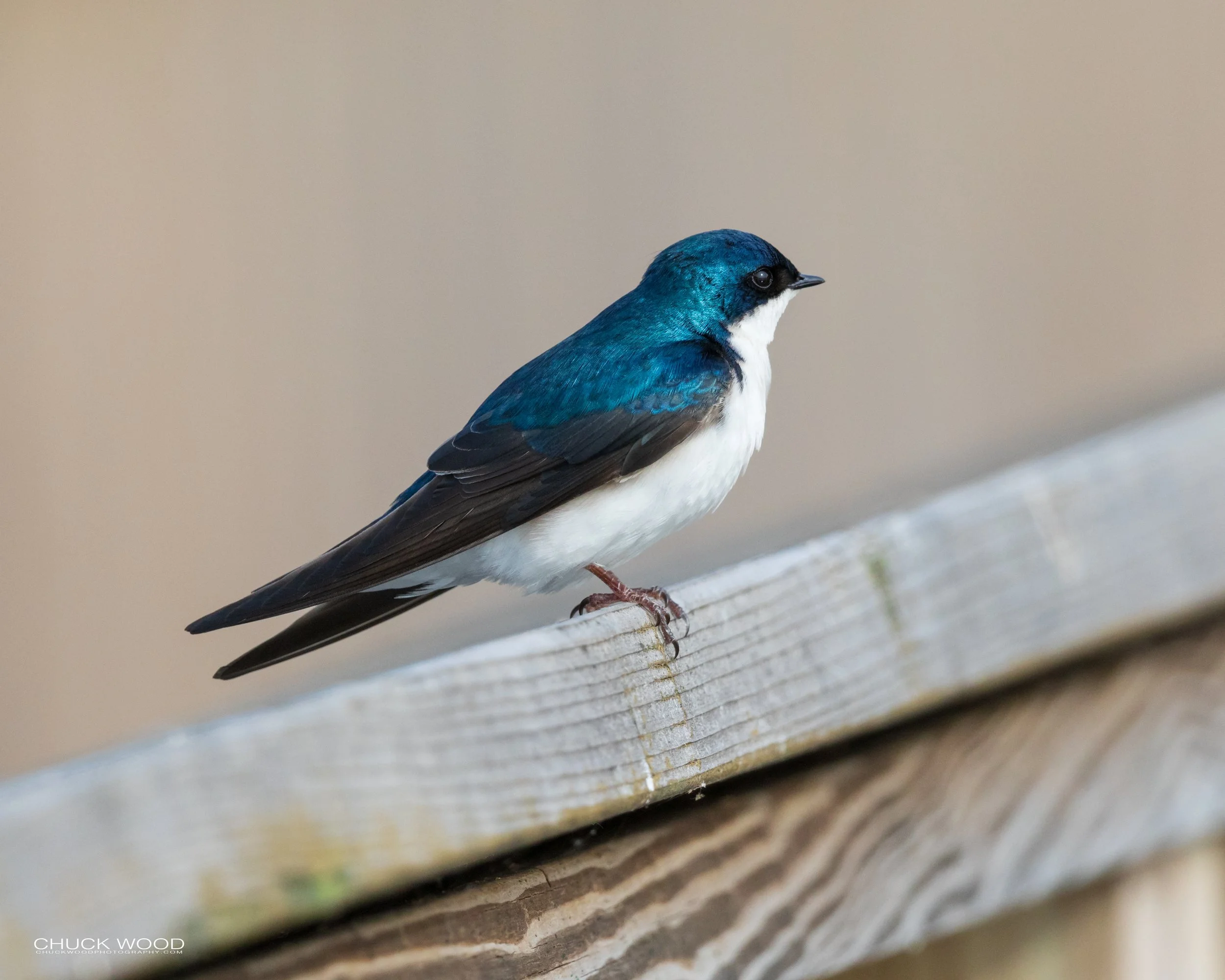  Dekorte Park, NJ 2020 