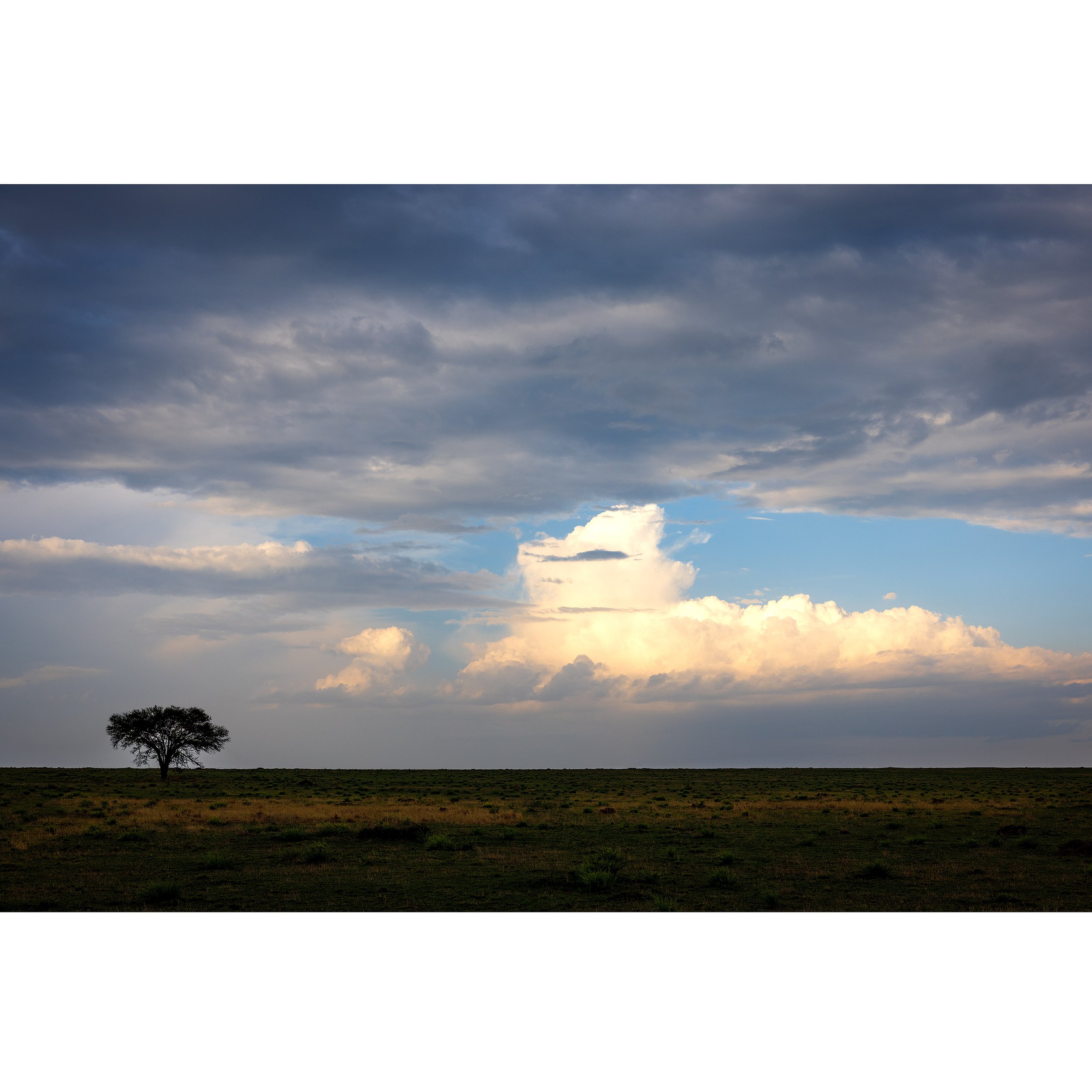 CW00055-Serengeti-Storm-Clouds-2021-square.jpg