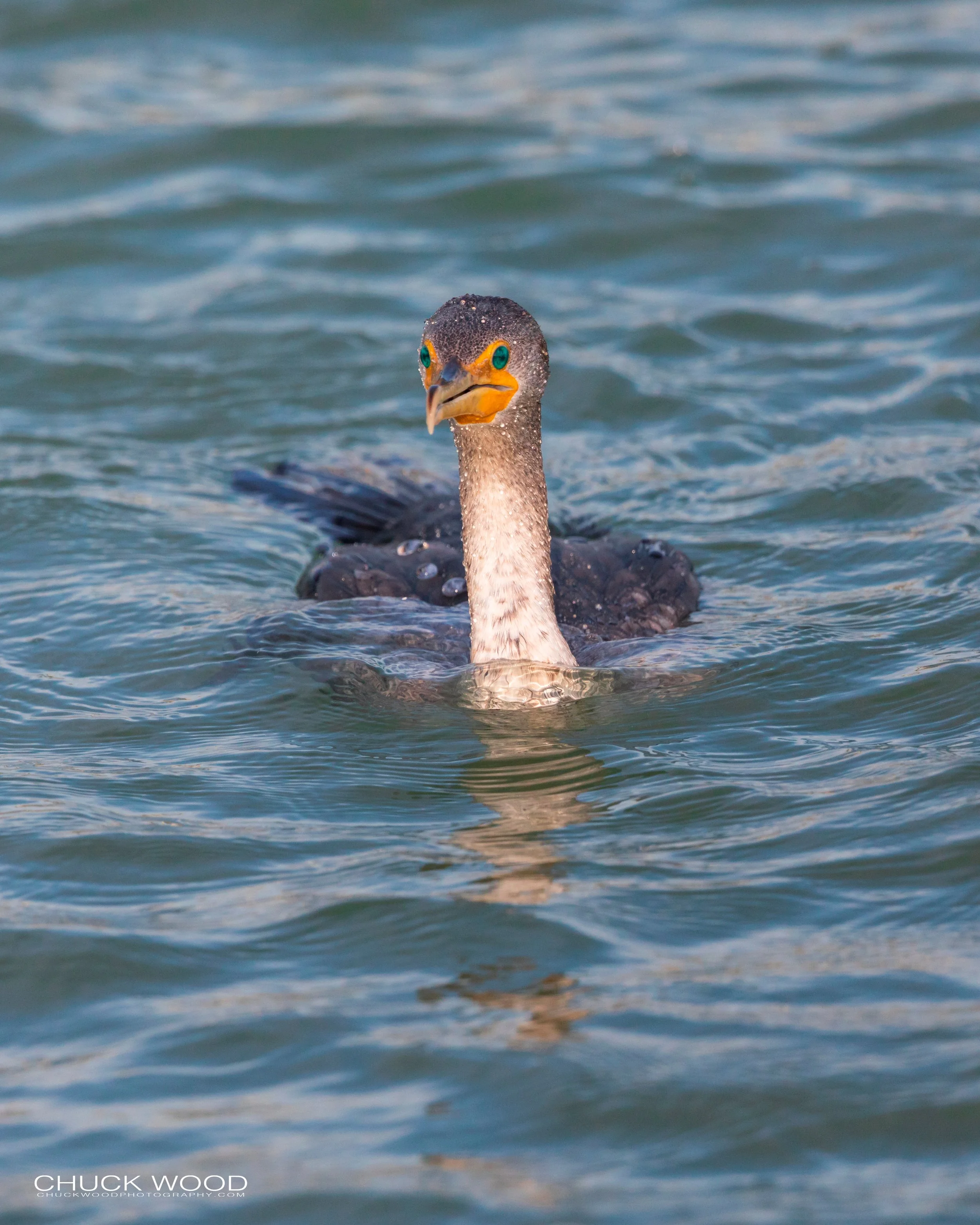  Sebastian Inlet, FL 2020 
