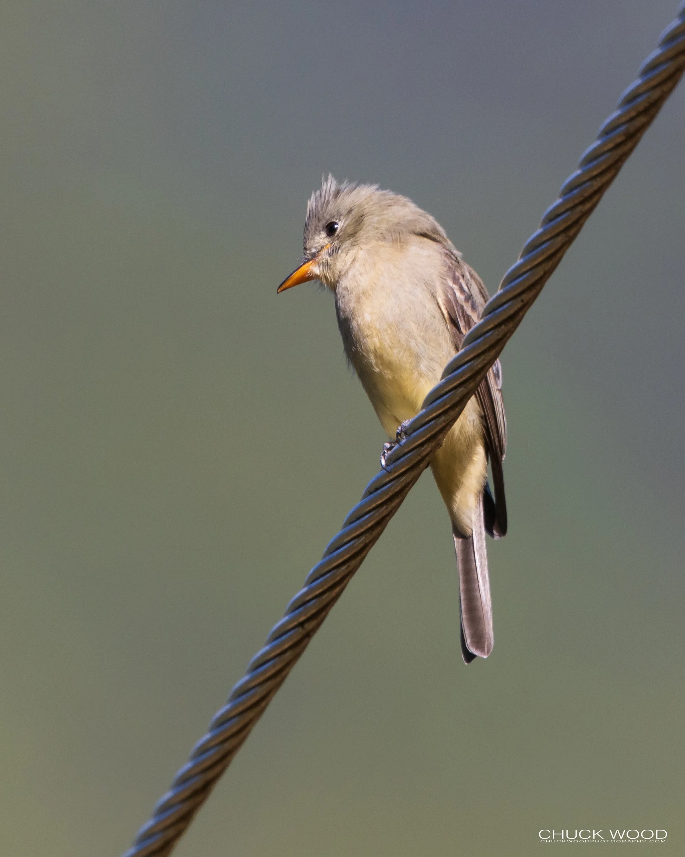  Arroyo Guacamaya Oaxaca, MX 2022 I/ 