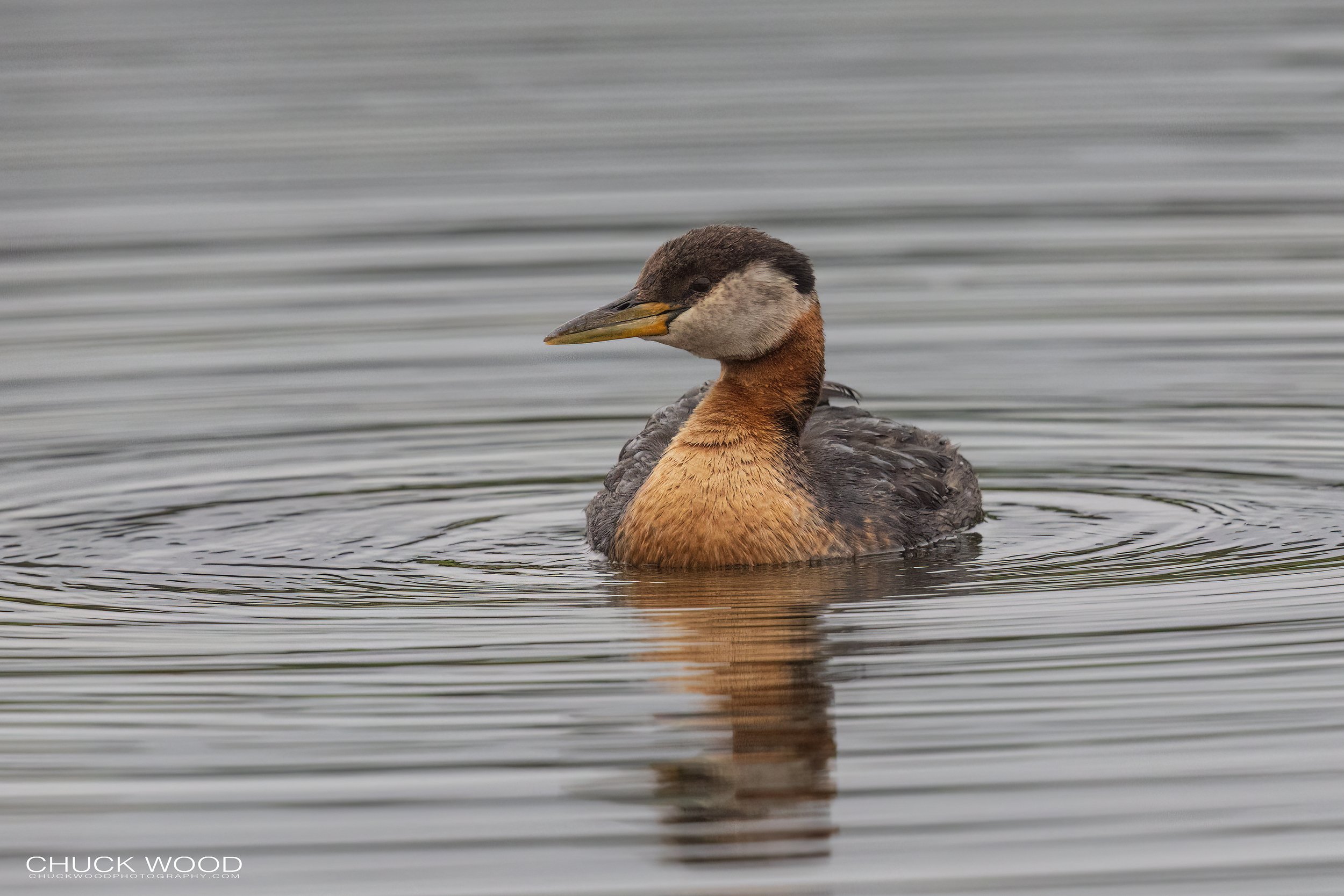  Westchester Lagoon Anchorage, AK 2022 