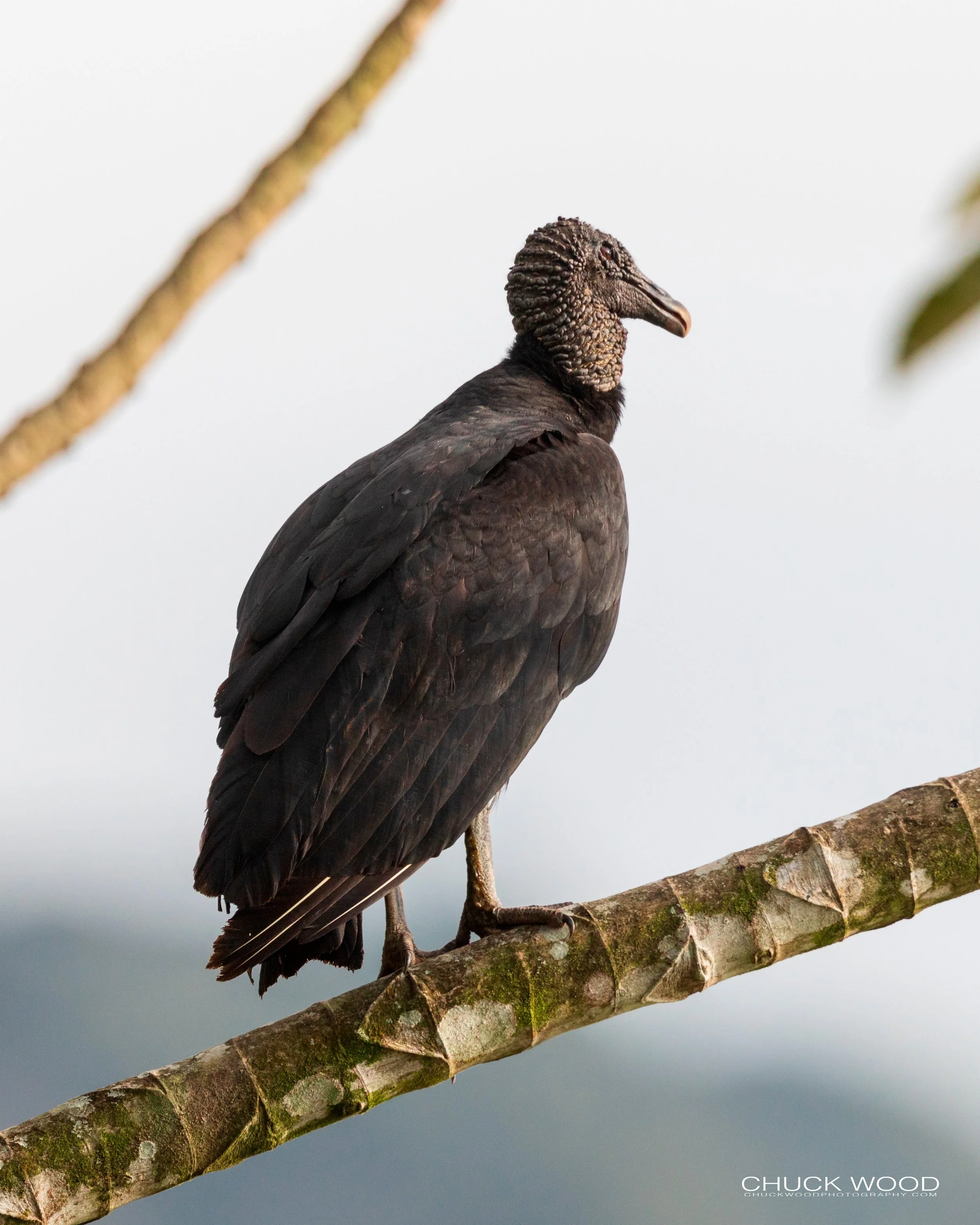  Embalse Angostura, Costa Rica 2020 