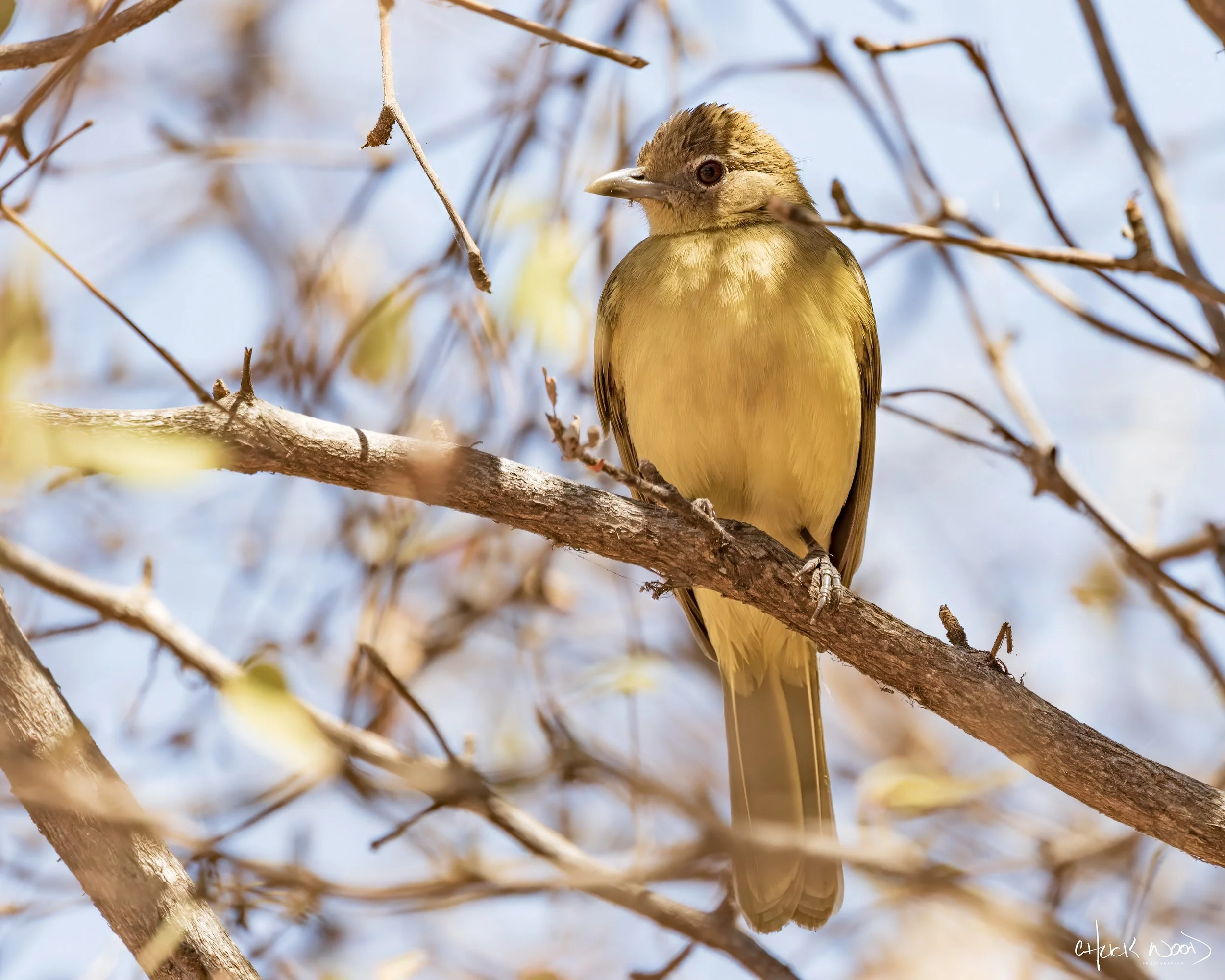  Lake Kariba, Zimbabwe 2019 