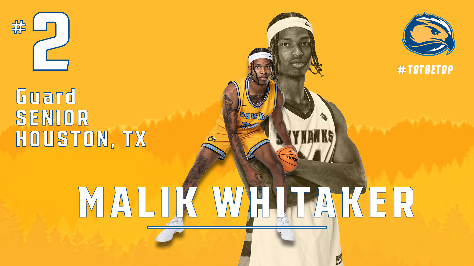 malik.png
