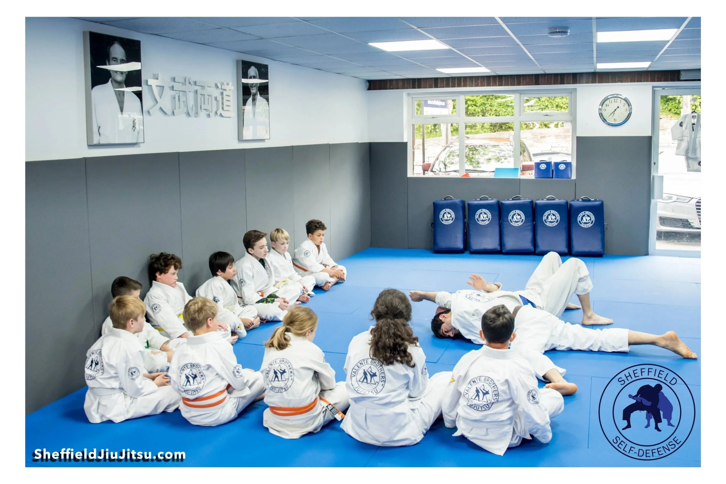 Sheffield Jiu jitsu