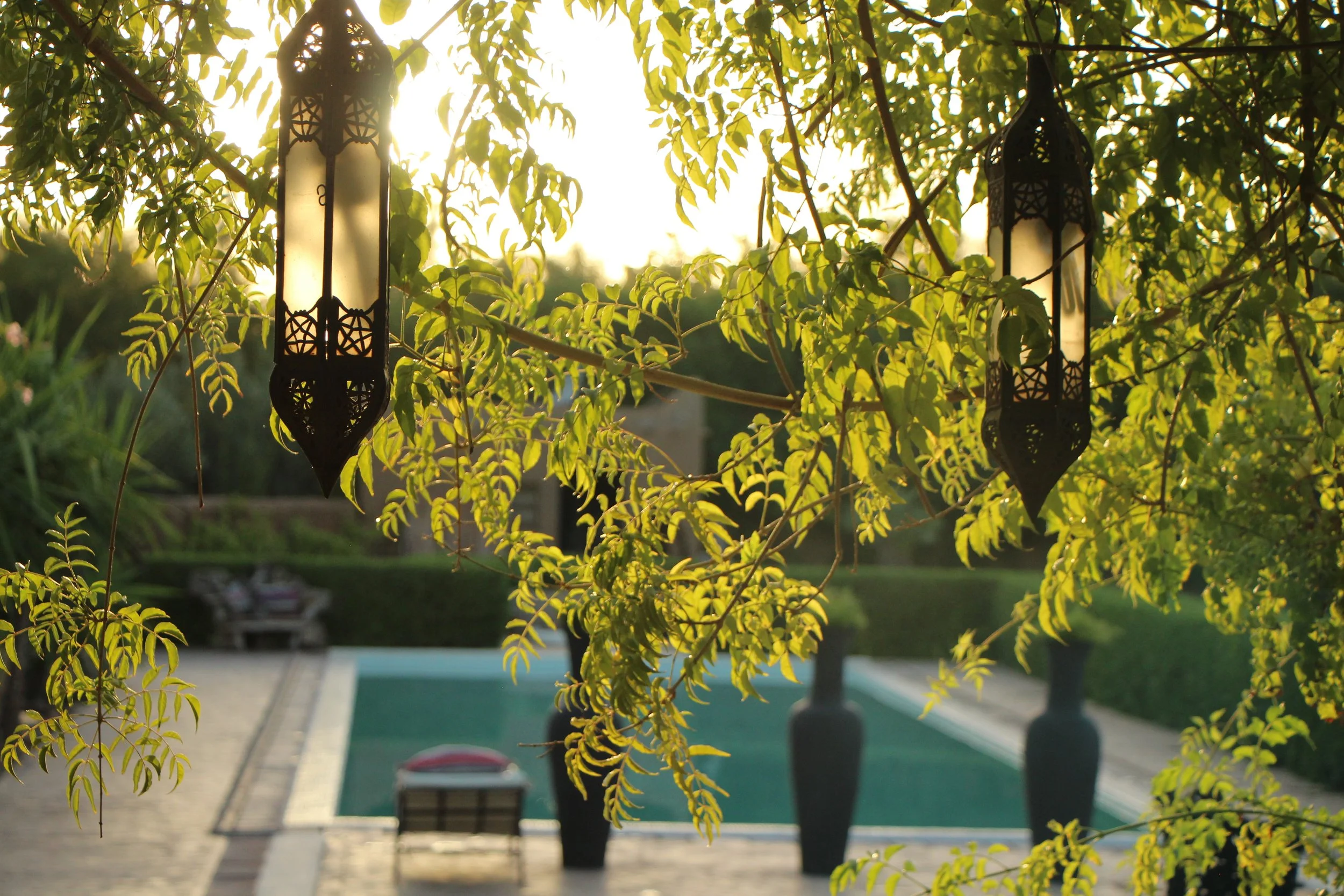 Sunlight filters through green leaves, illuminating decorative hanging lanterns in a garden or park setting.