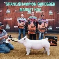 480627228_667779739151454_2343615570911912139_n.jpg