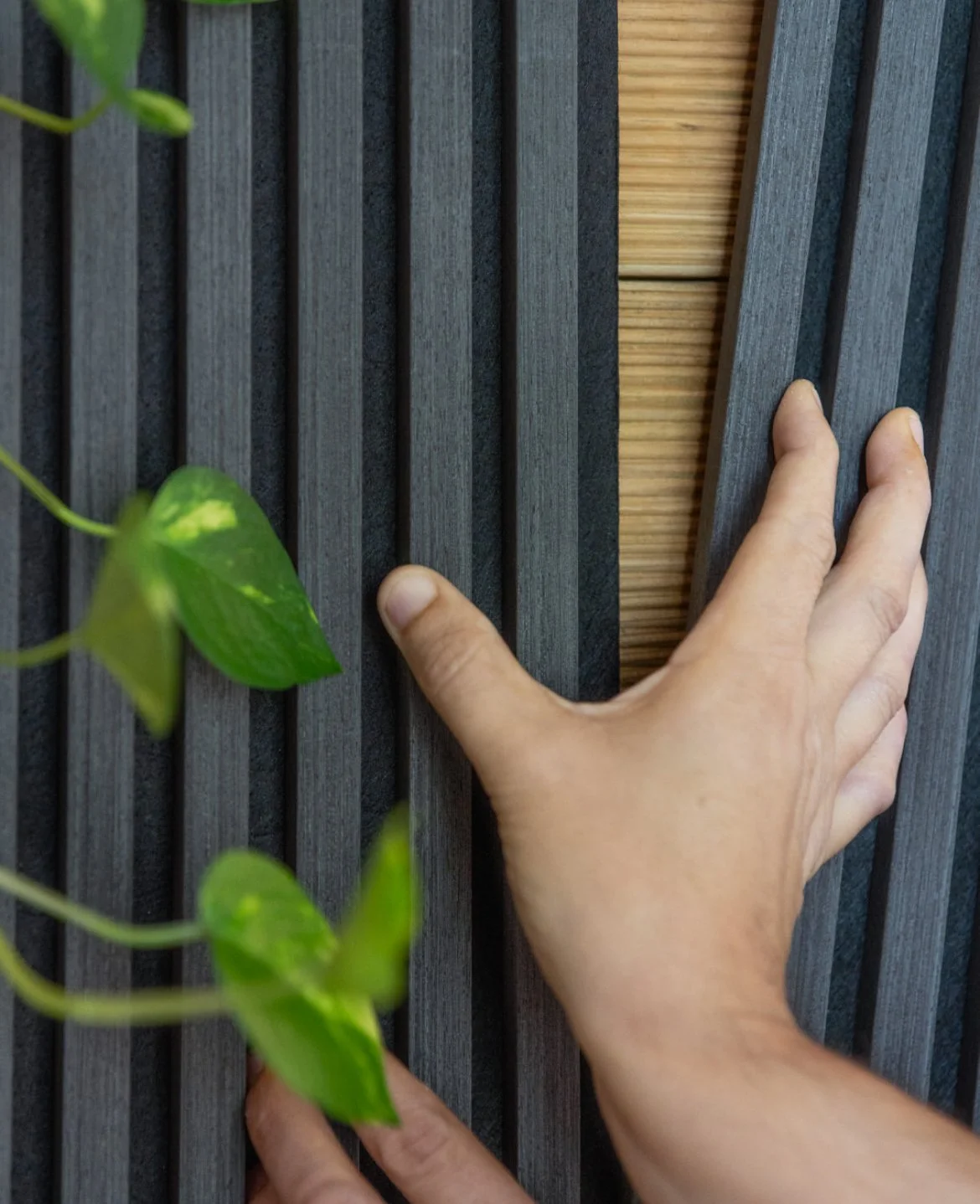 pannelli fonoassorbenti sostenibili_bado_01.jpeg