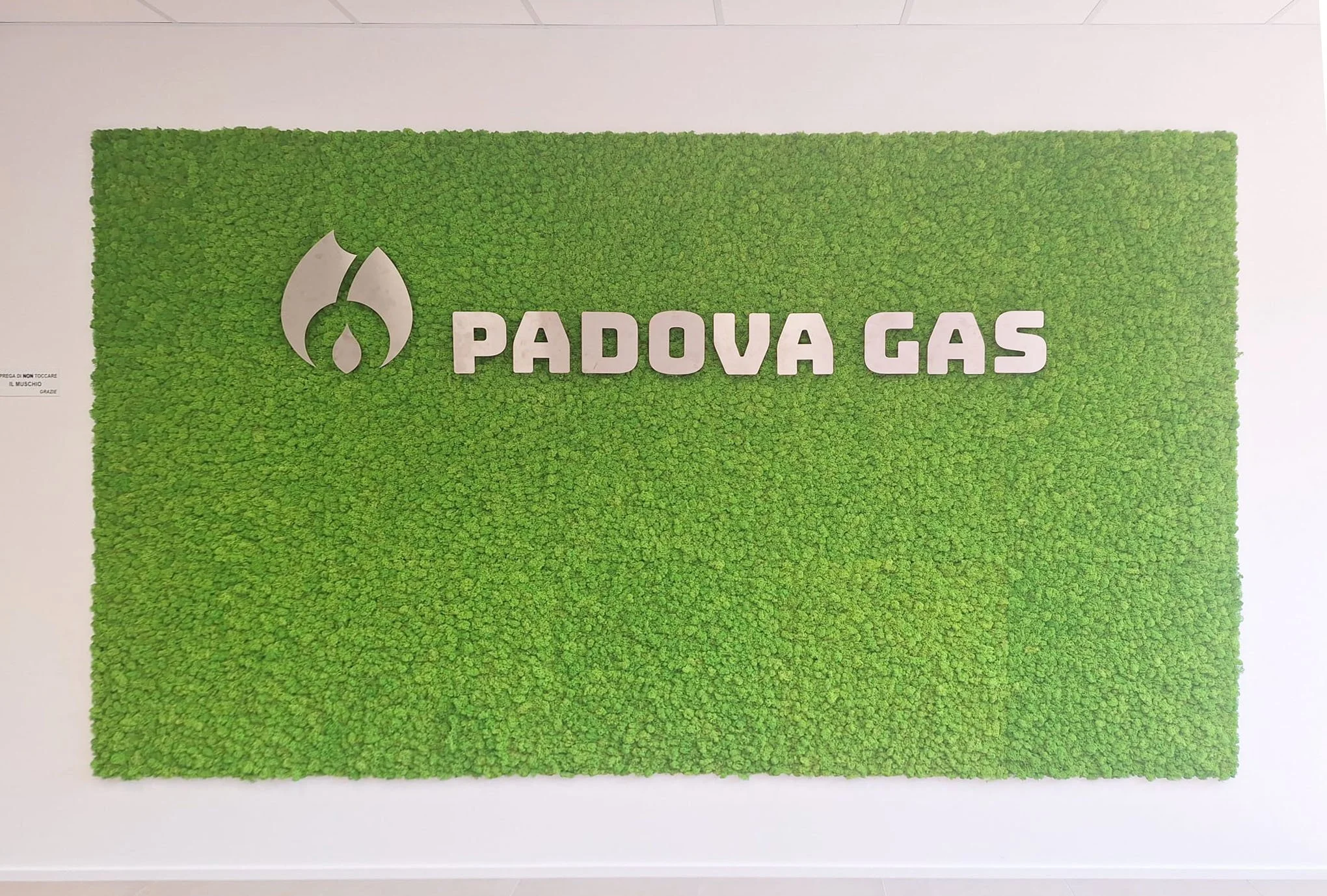 02_parete verde_PadovaGas_bado office.jpeg