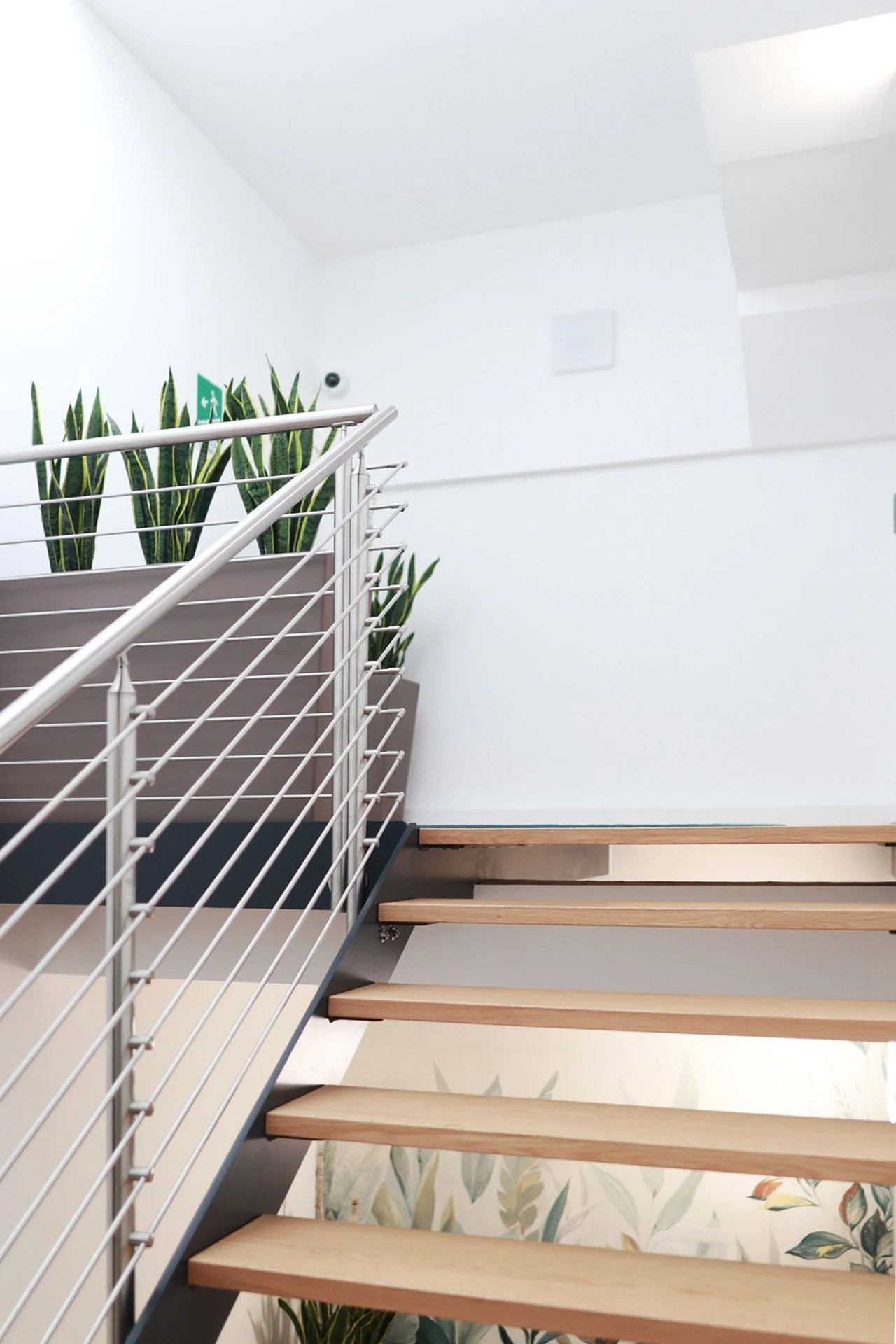 For Rec scala_03.jpeg