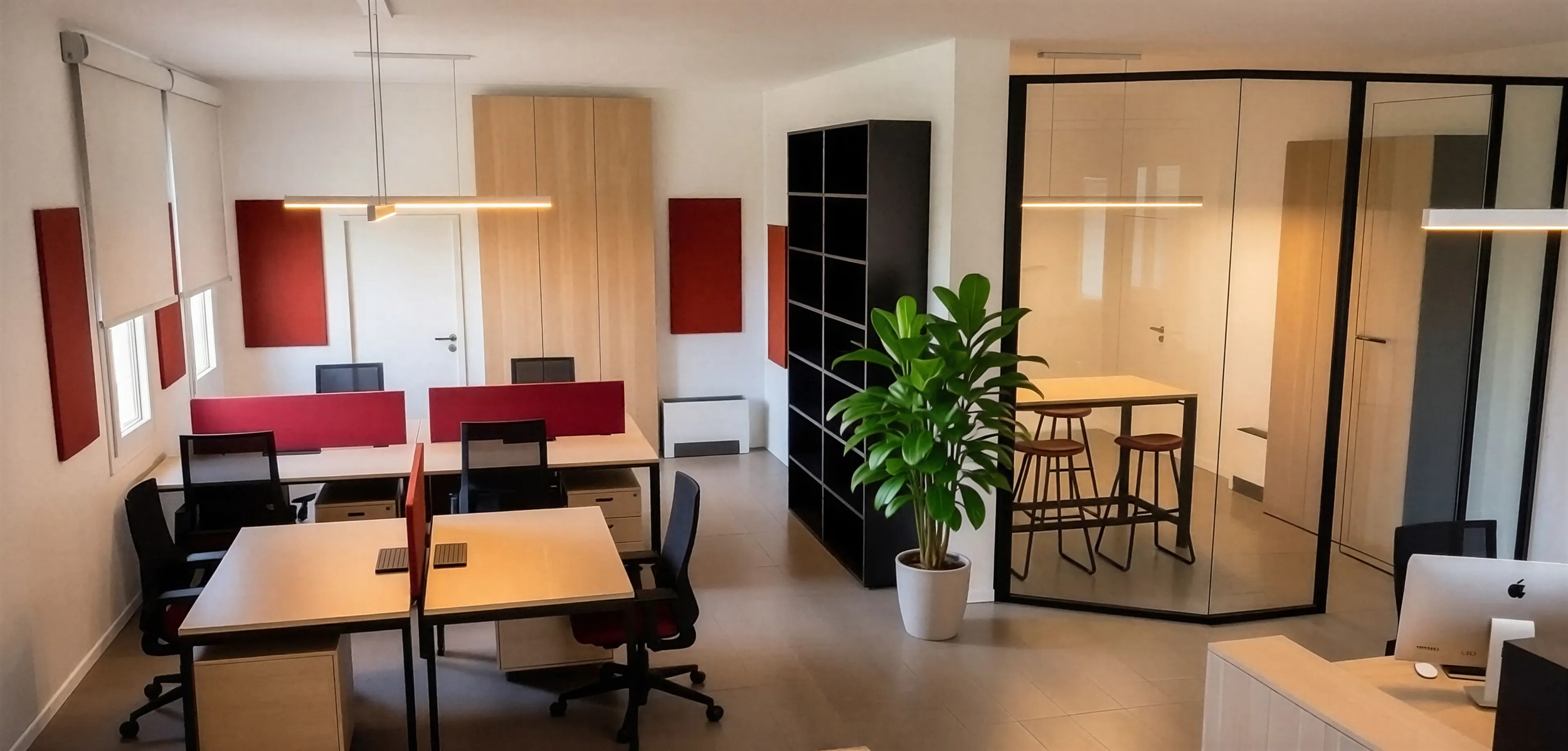 studio bacchiega.png