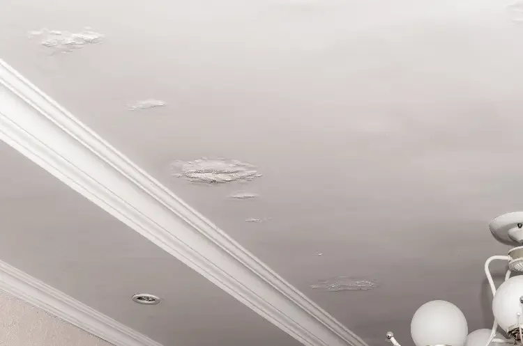 Ceiling water stain roof leak Ontario