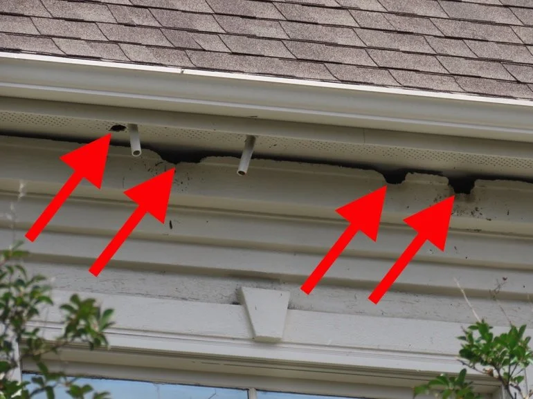 Soffit damage animal entry roofline Ontario
