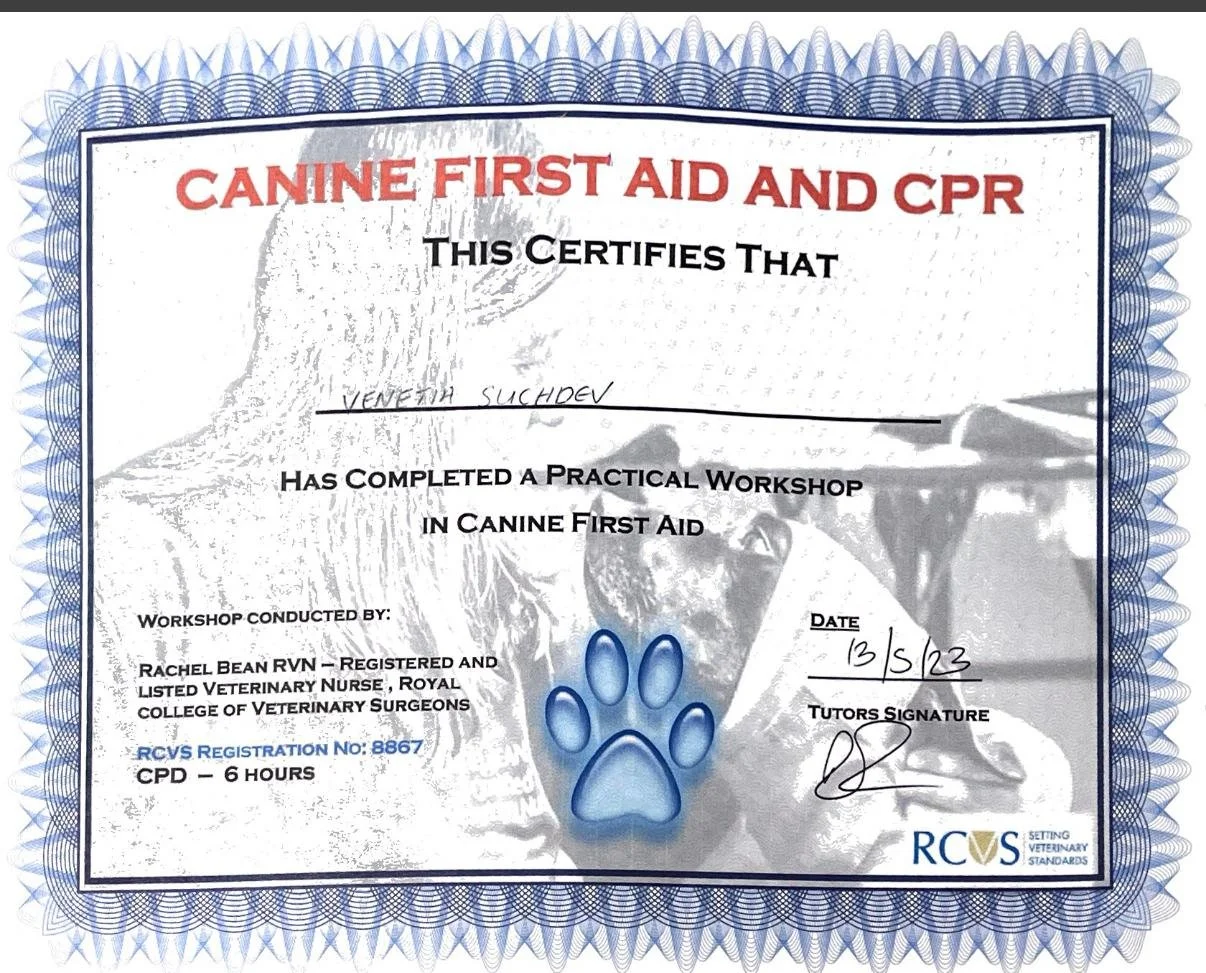 First aid.jpeg