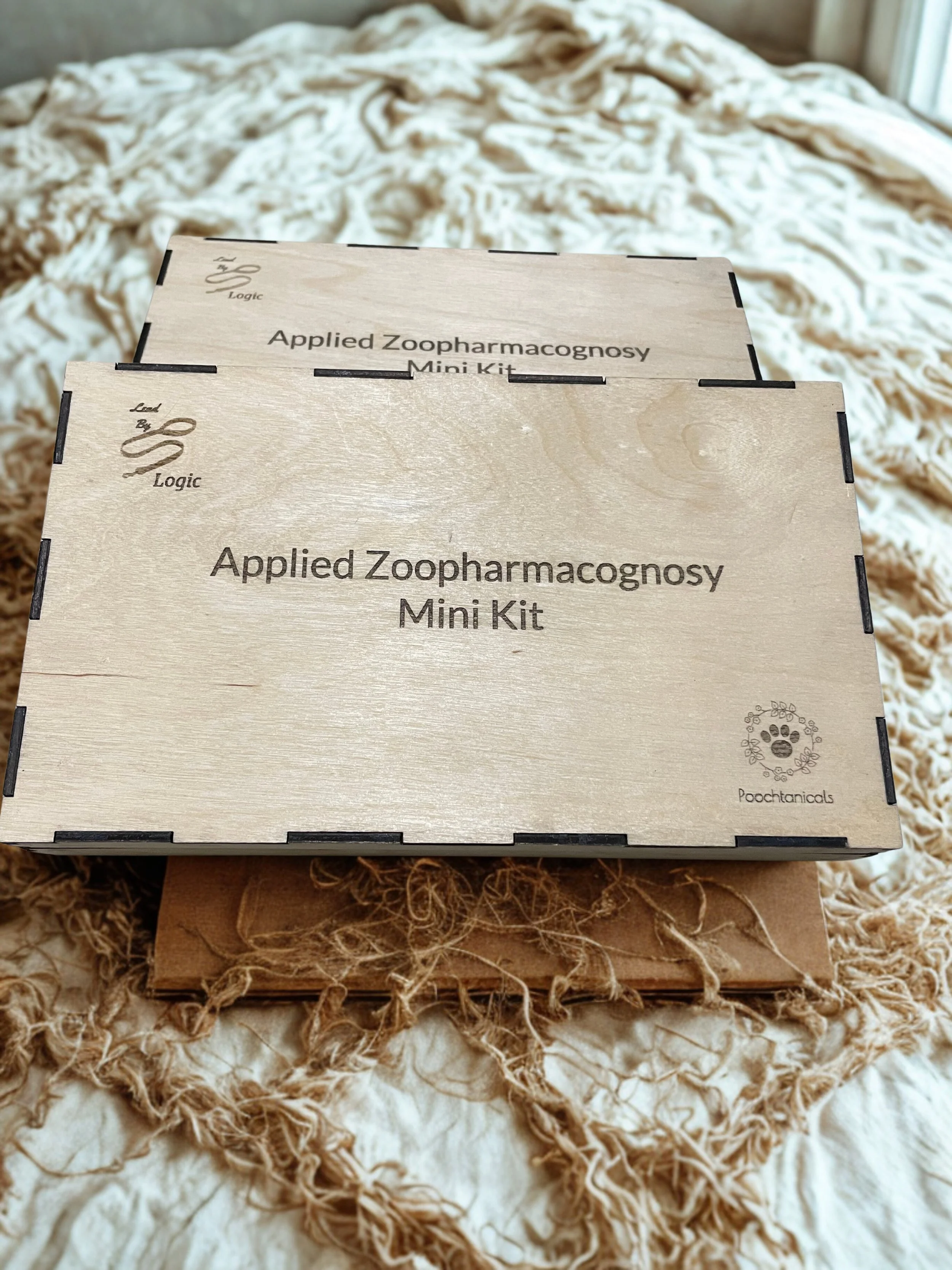 mini kit 16_12_2025, 11_14_05 - Edited.jpg