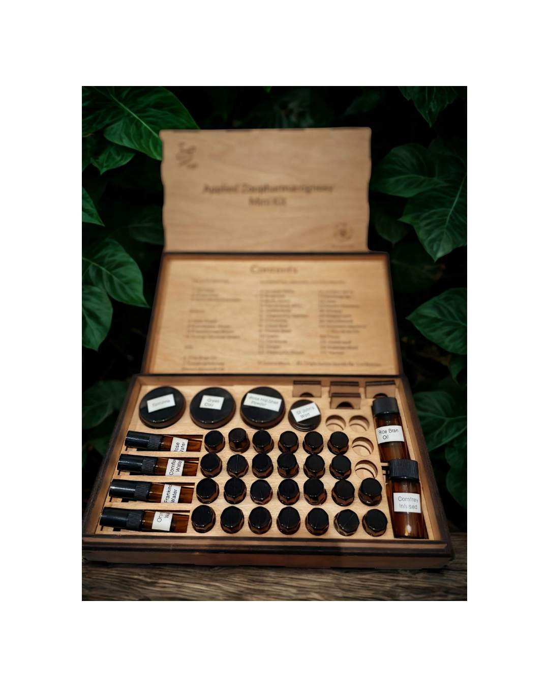 Accepting Pre-orders now! - 2.PNG